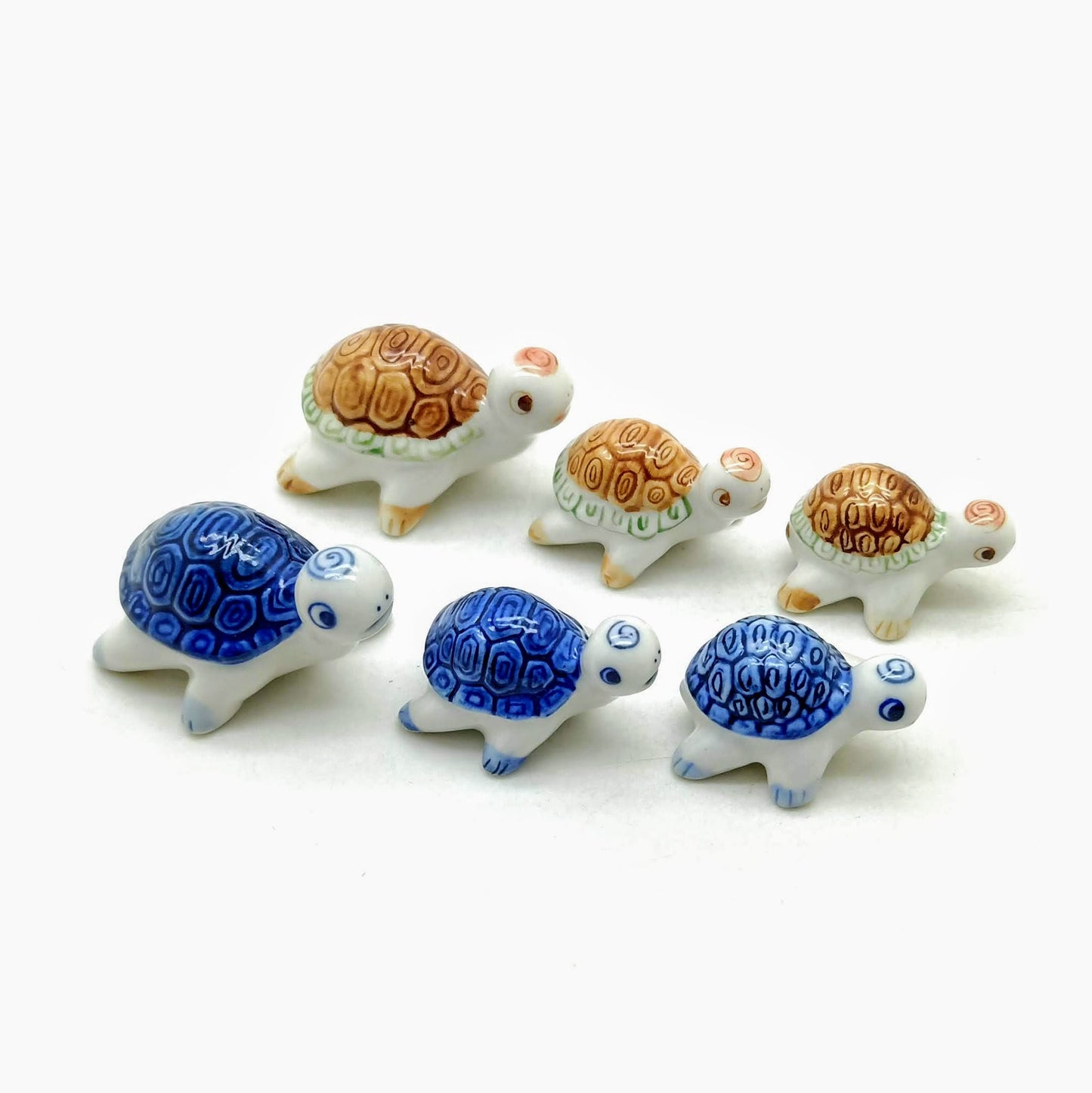3 White Turtles Family