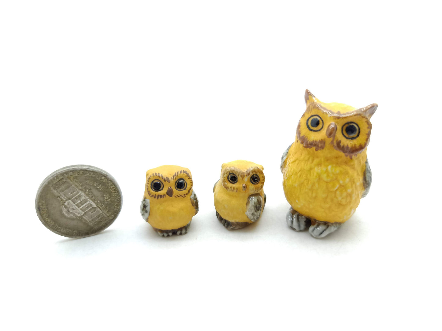 Owl Family