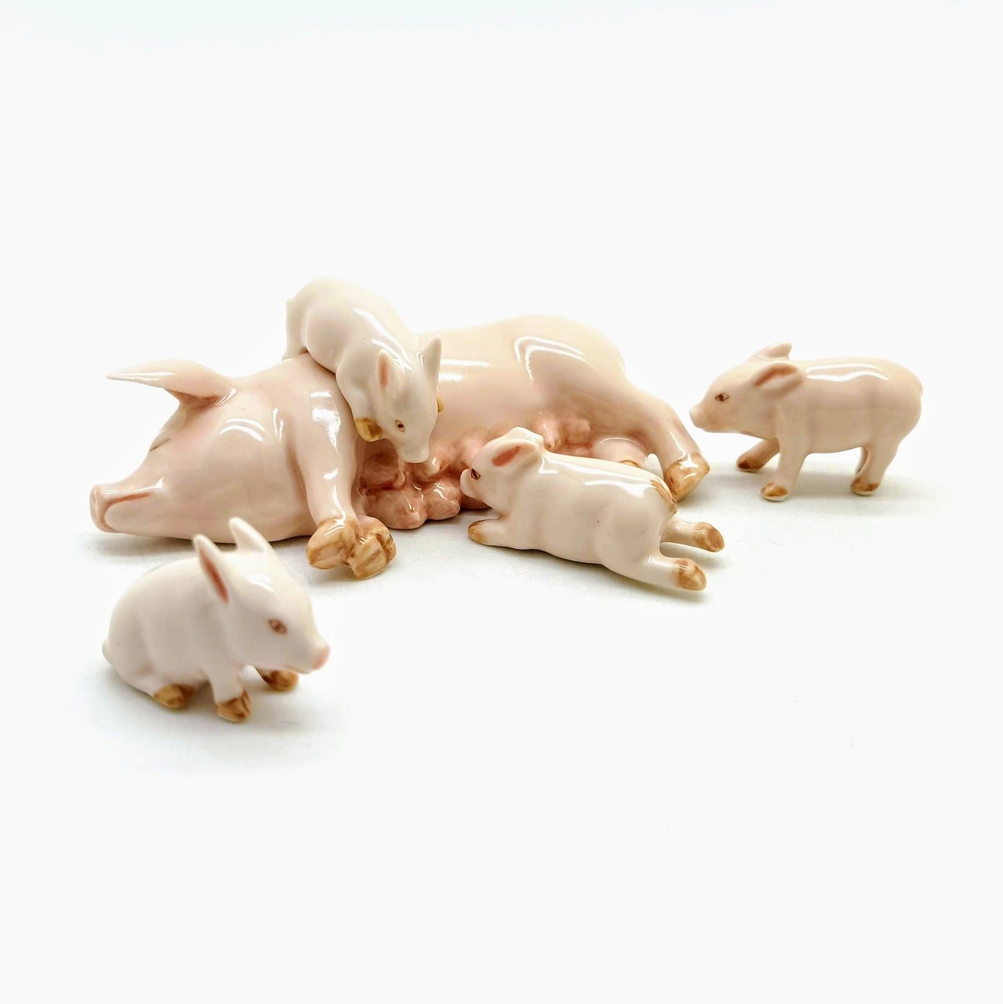4 little piglets suckling on their mom’s milk
