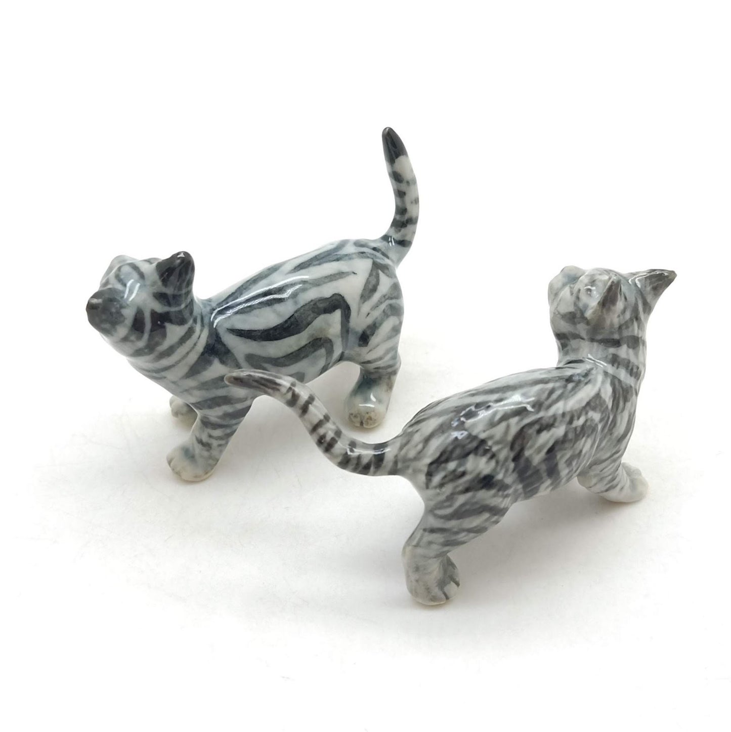 2 Kitten Cats