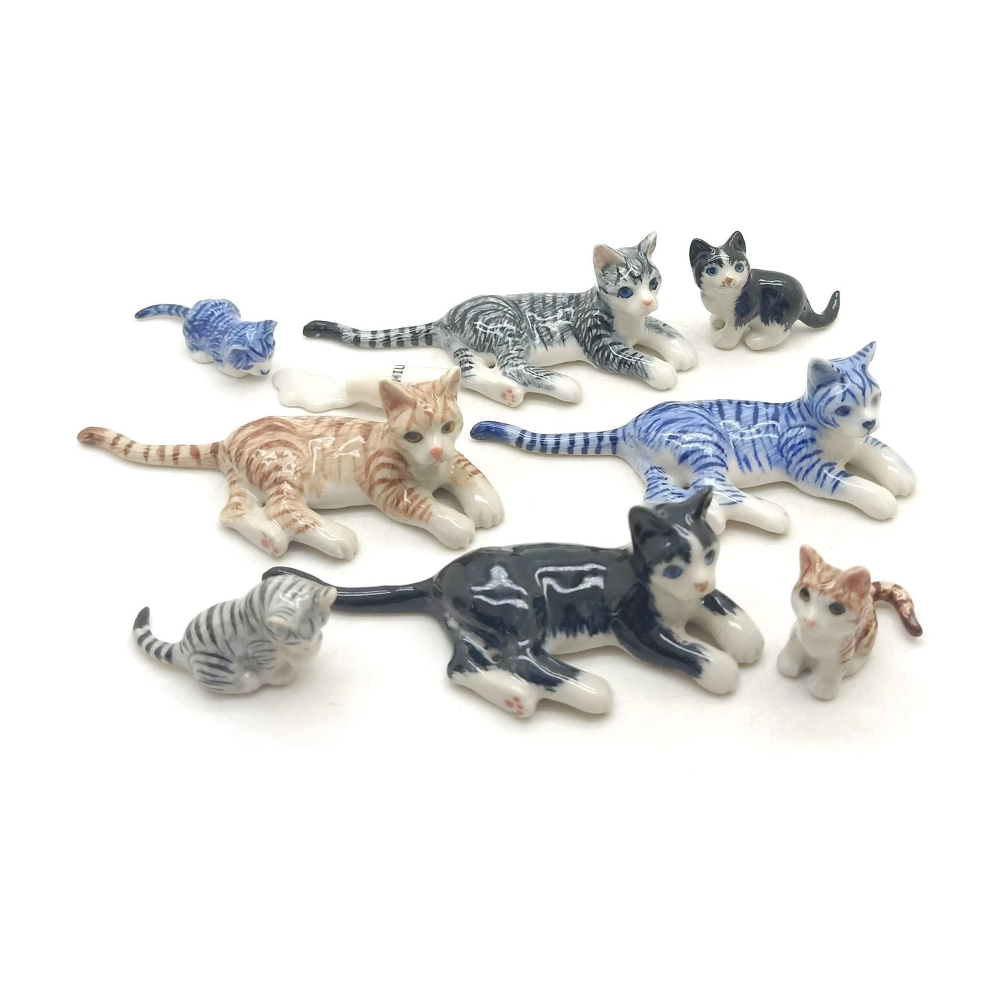 5 Tabby Kitten Cats with Milk Bottle