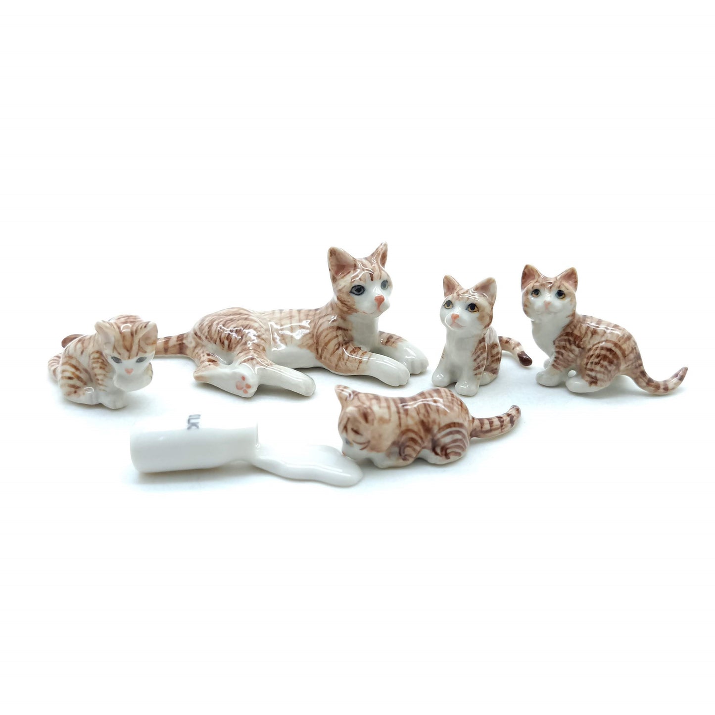 5 Tabby Kitten Cats with Milk Bottle