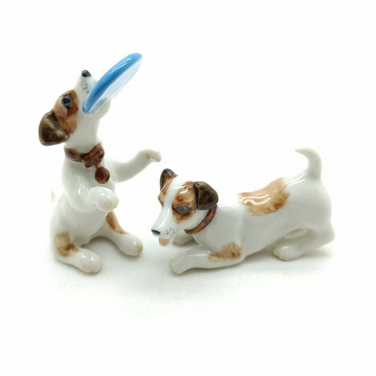 2 Jack Russell Terrier Dogs