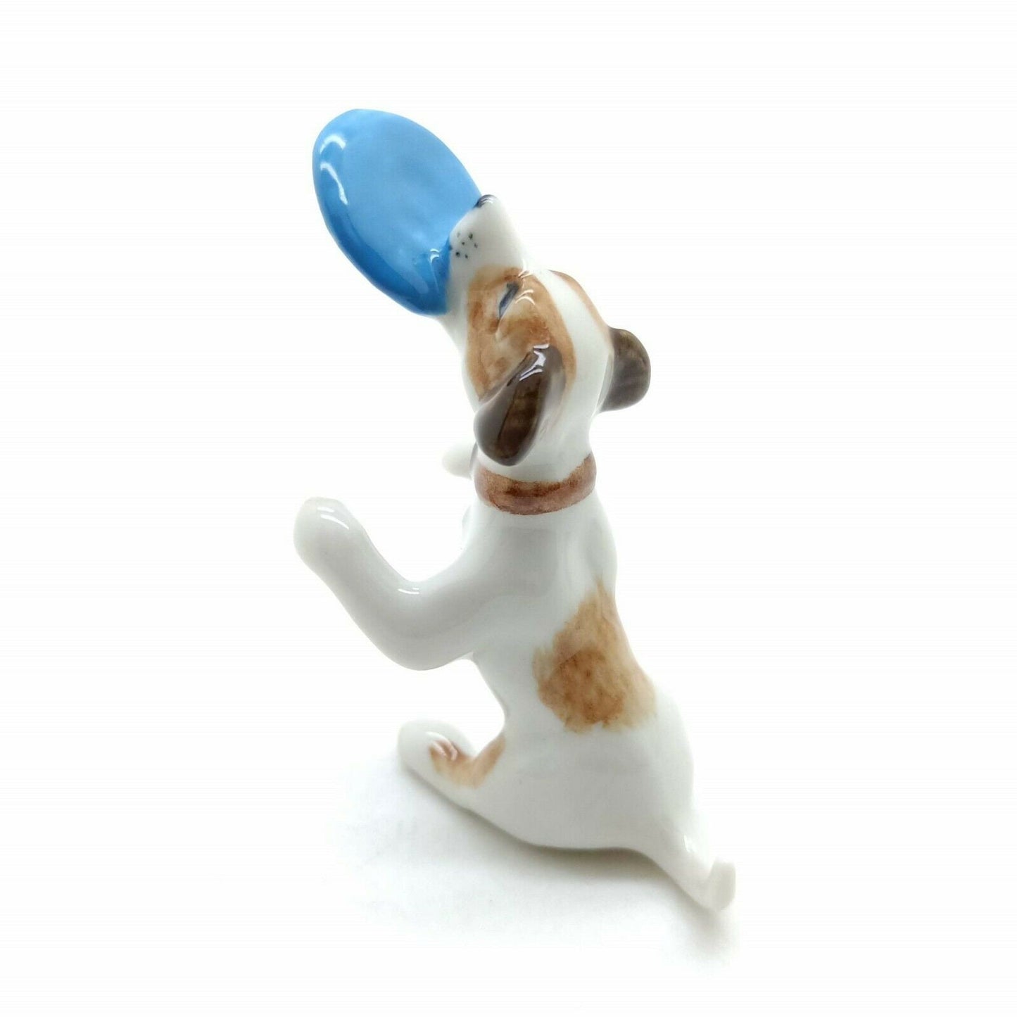2 Jack Russell Terrier Dogs