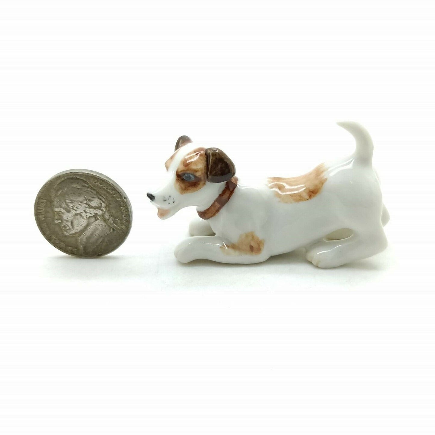 2 Jack Russell Terrier Dogs