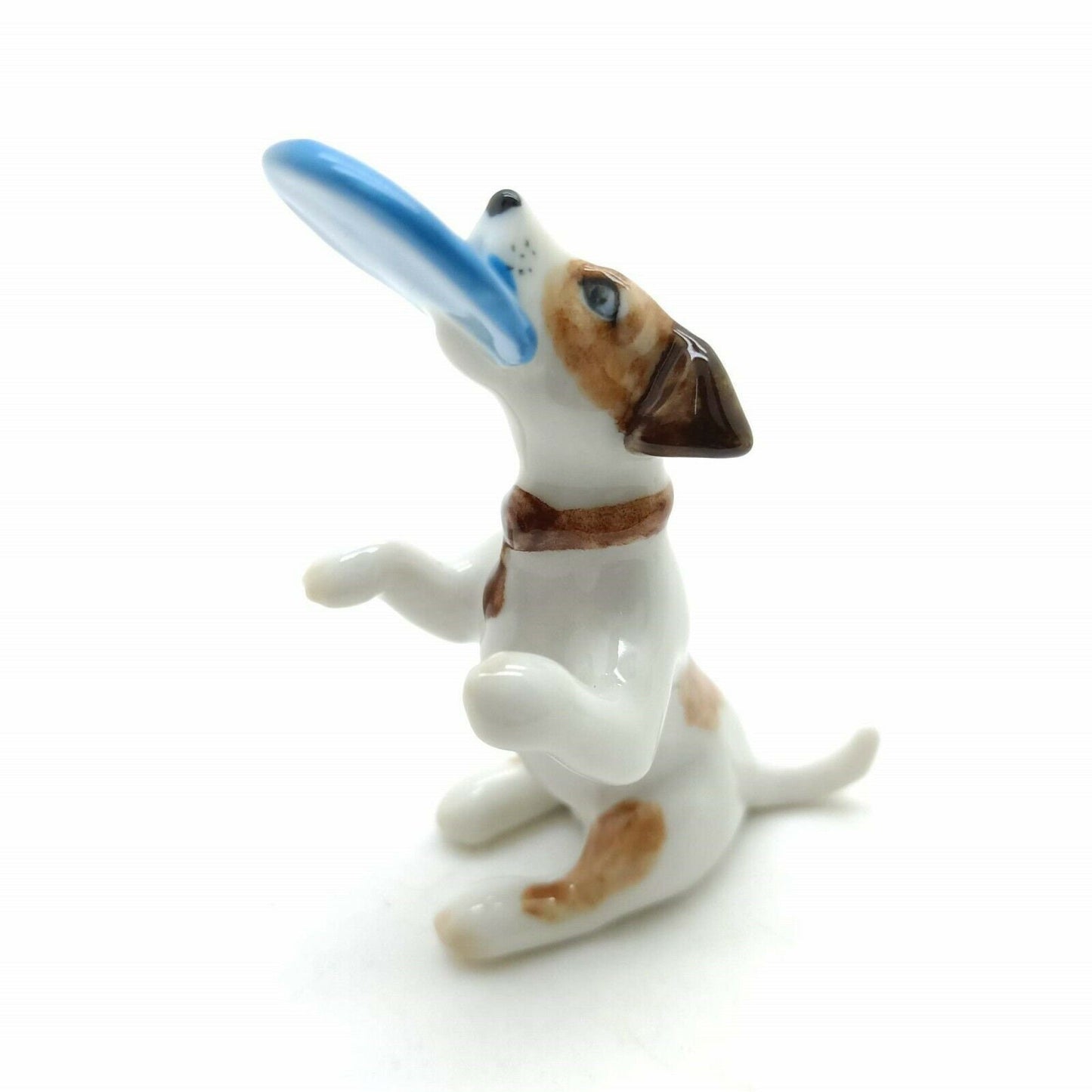 2 Jack Russell Terrier Dogs