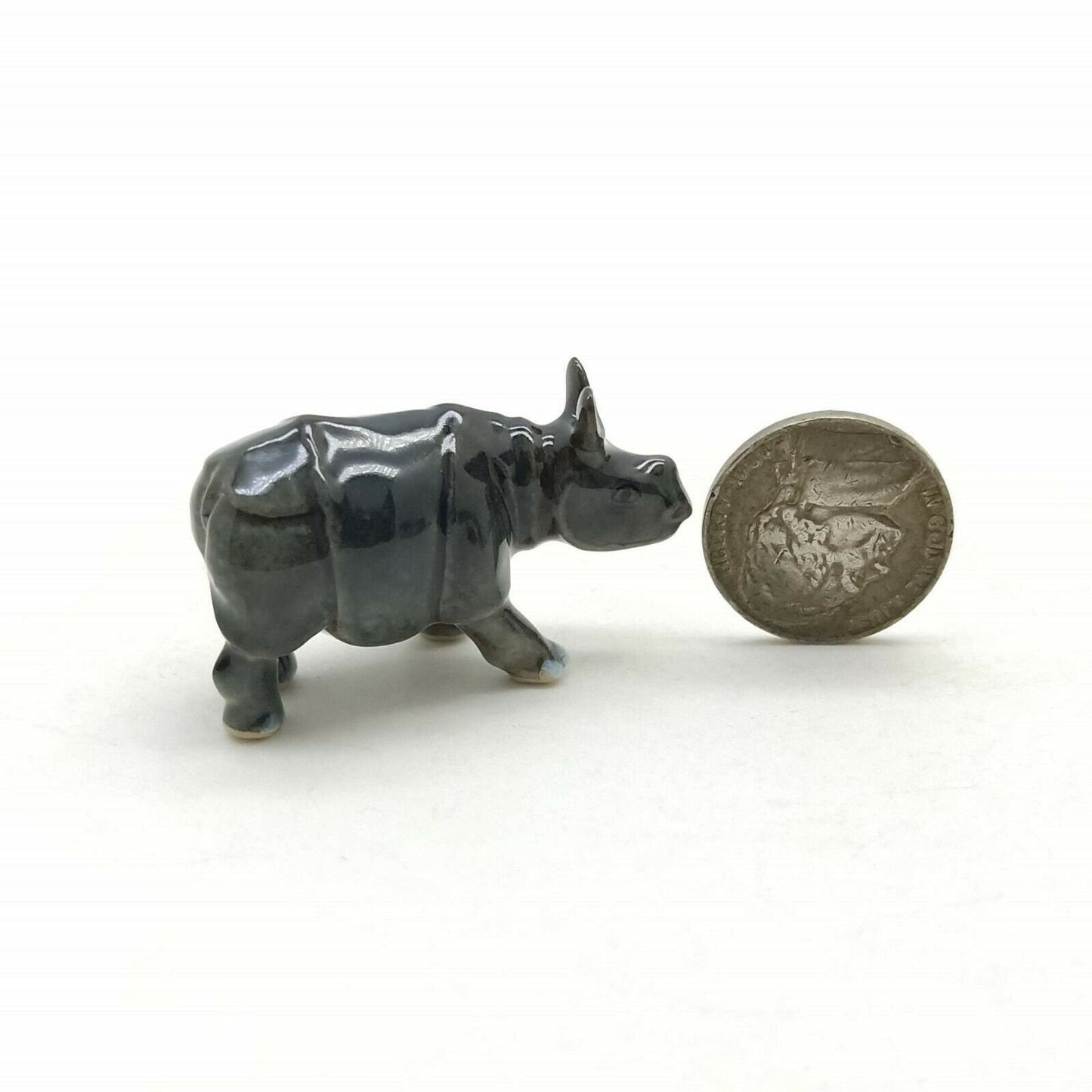 Rhino Family