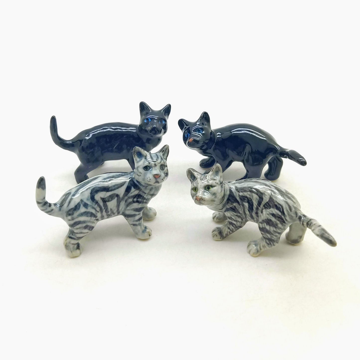 2 Kitten Cats