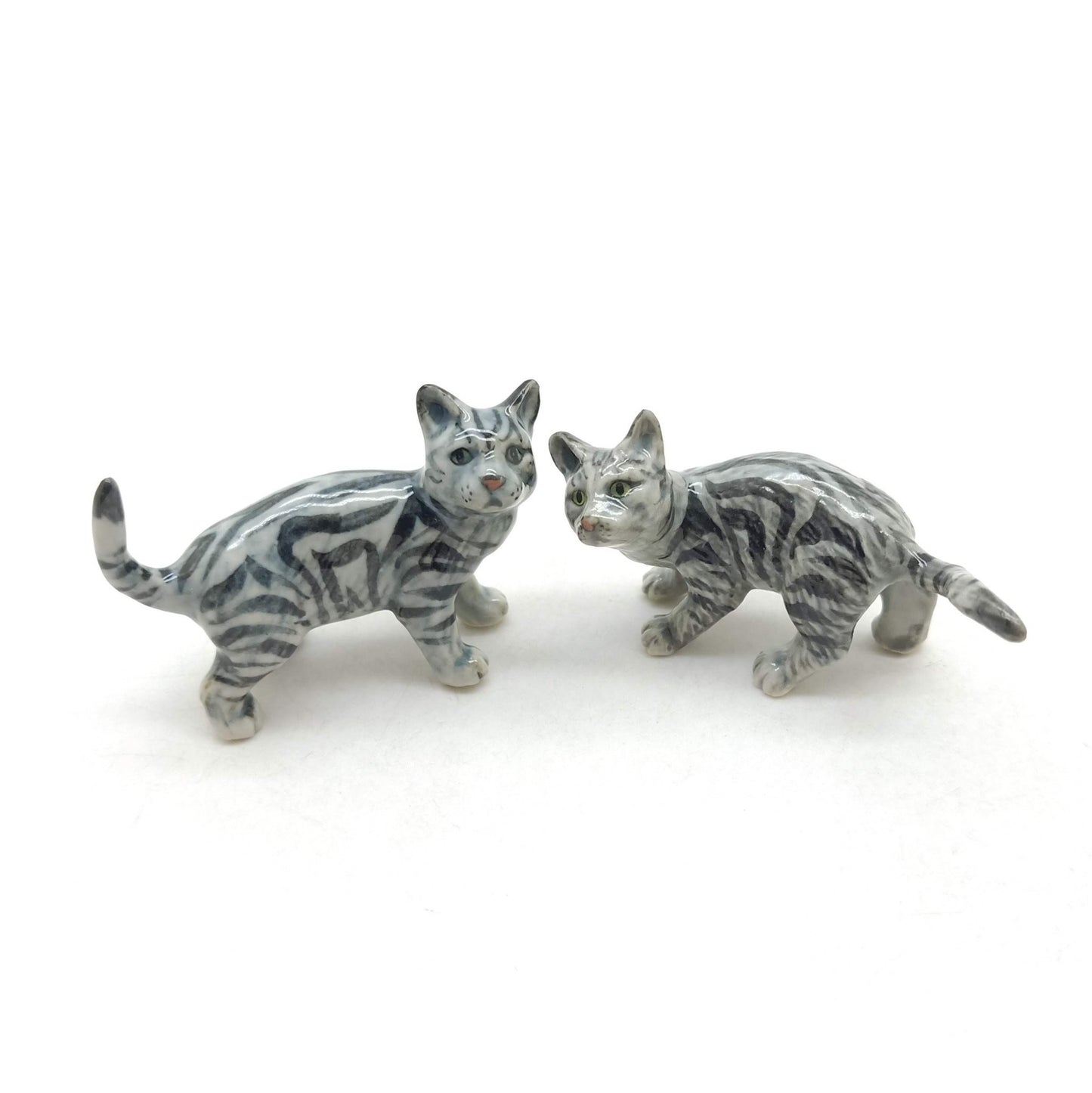 2 Kitten Cats