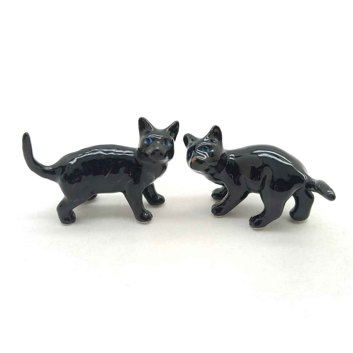 2 Kitten Cats