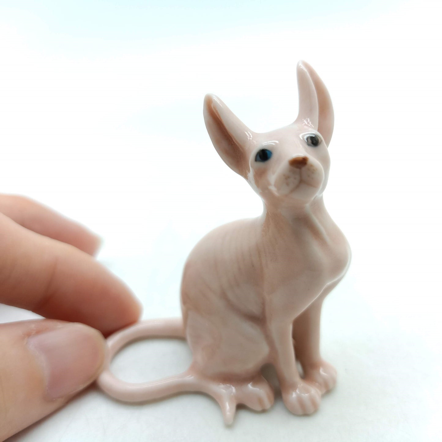 Sphynx Cats