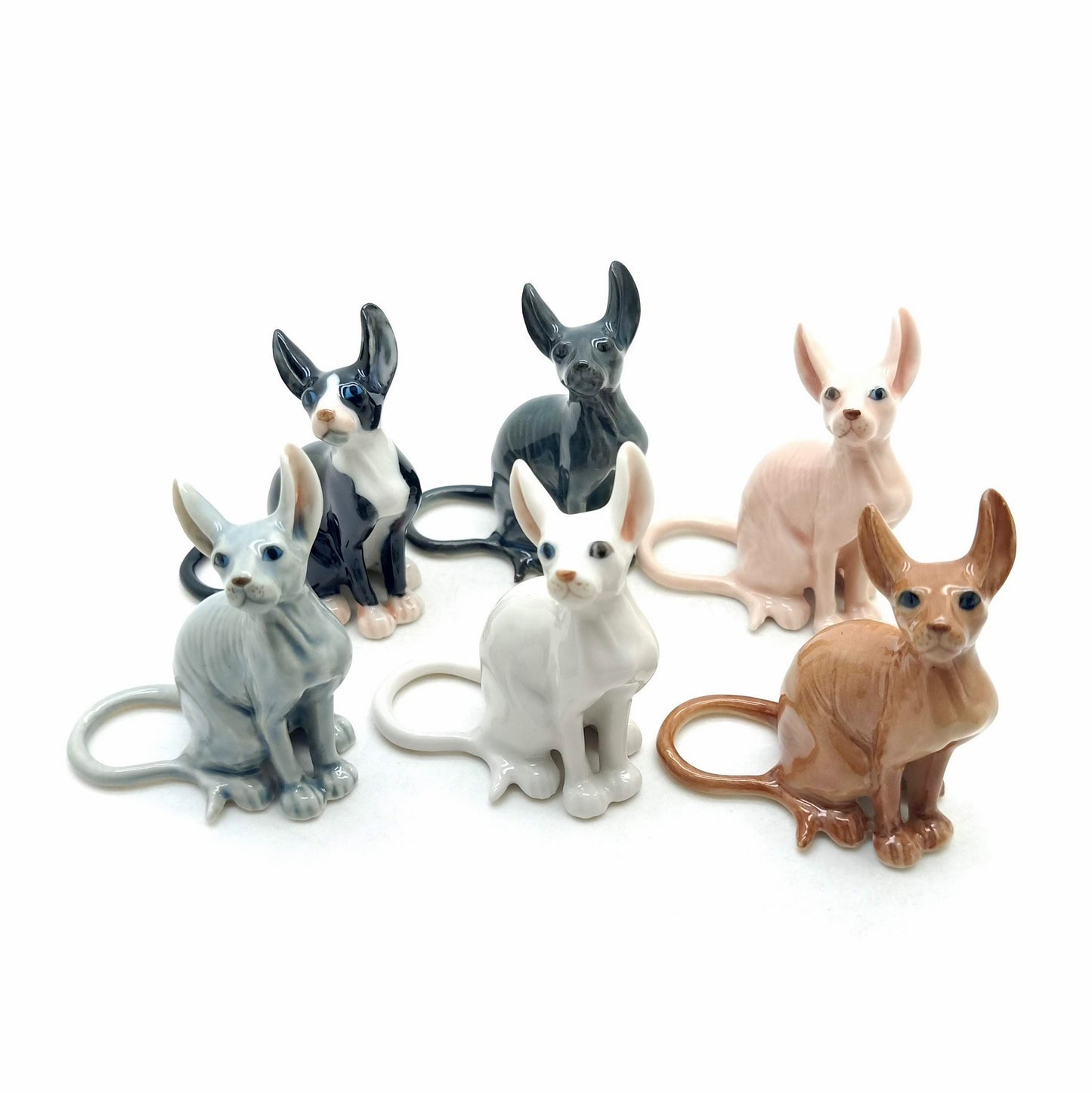 Sphynx Cats