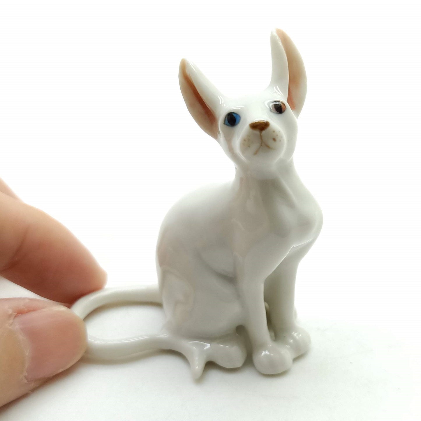Sphynx Cats