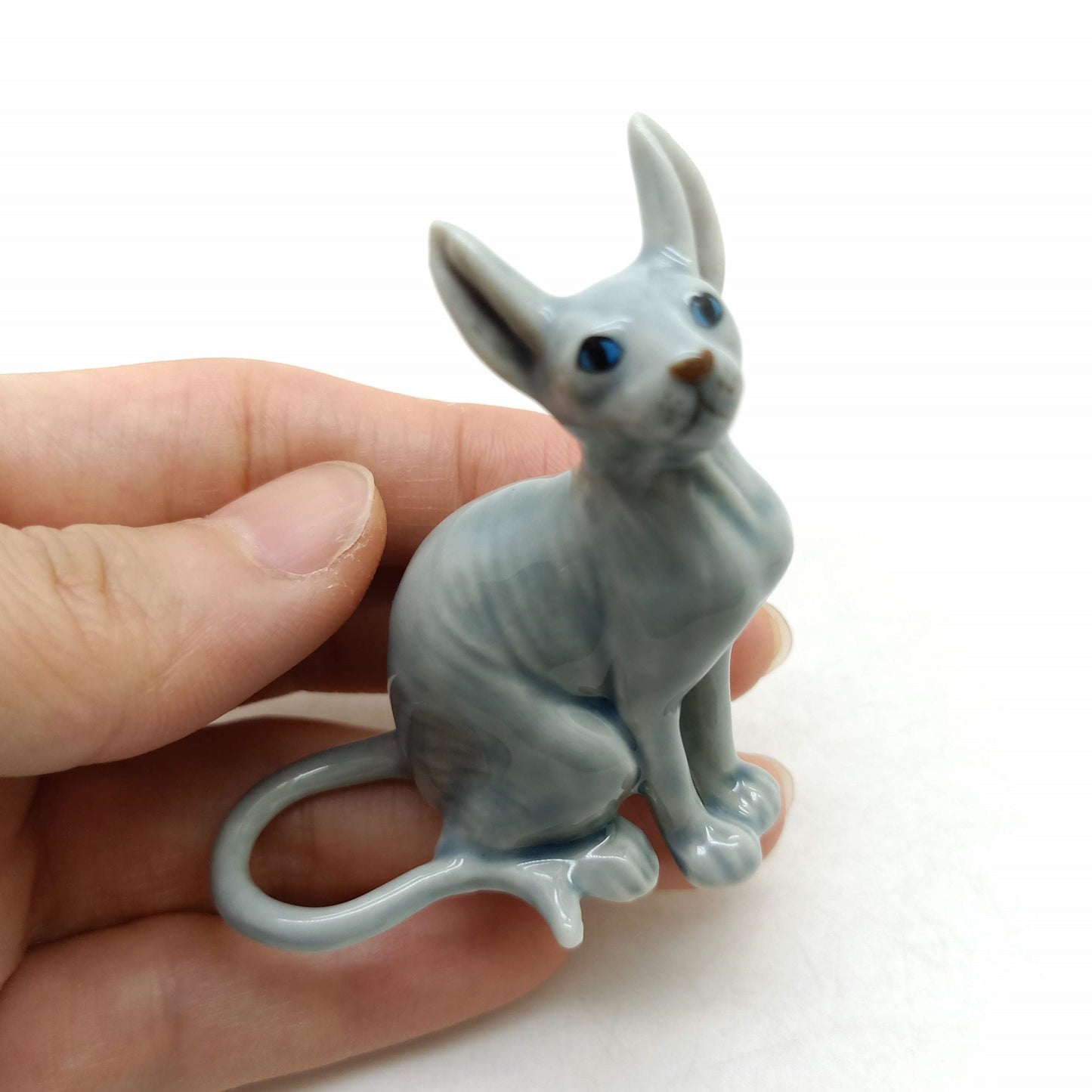 Sphynx Cats