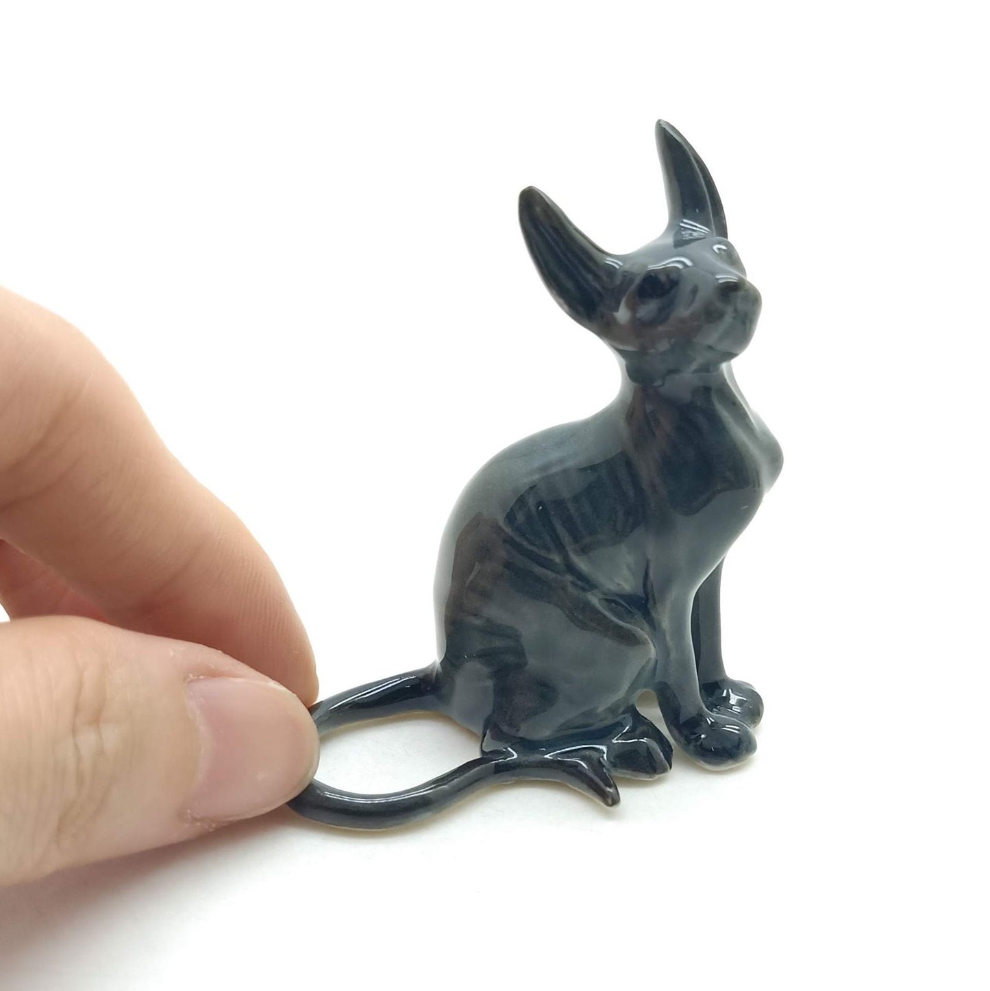 Sphynx Cats