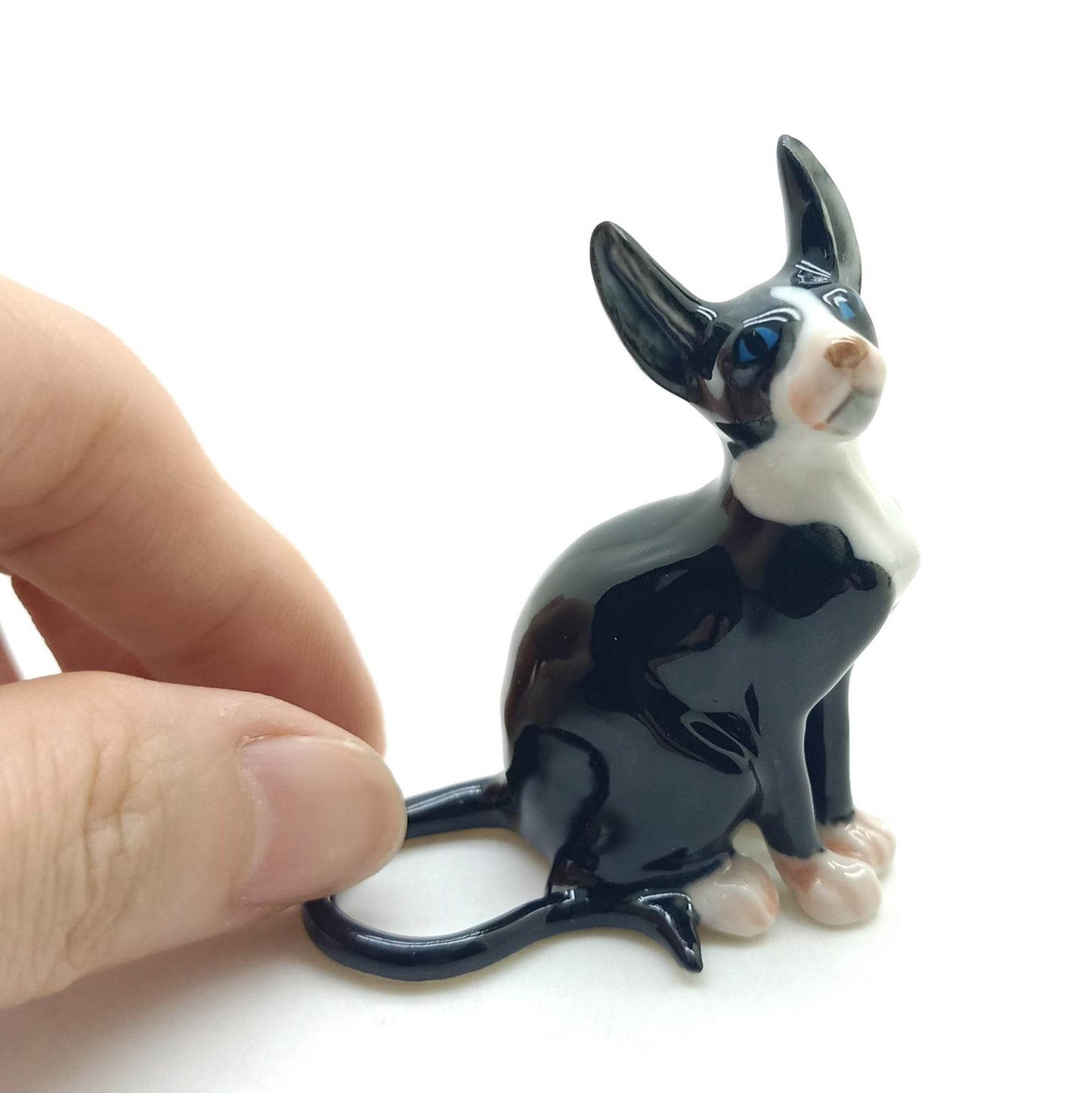 Sphynx Cats