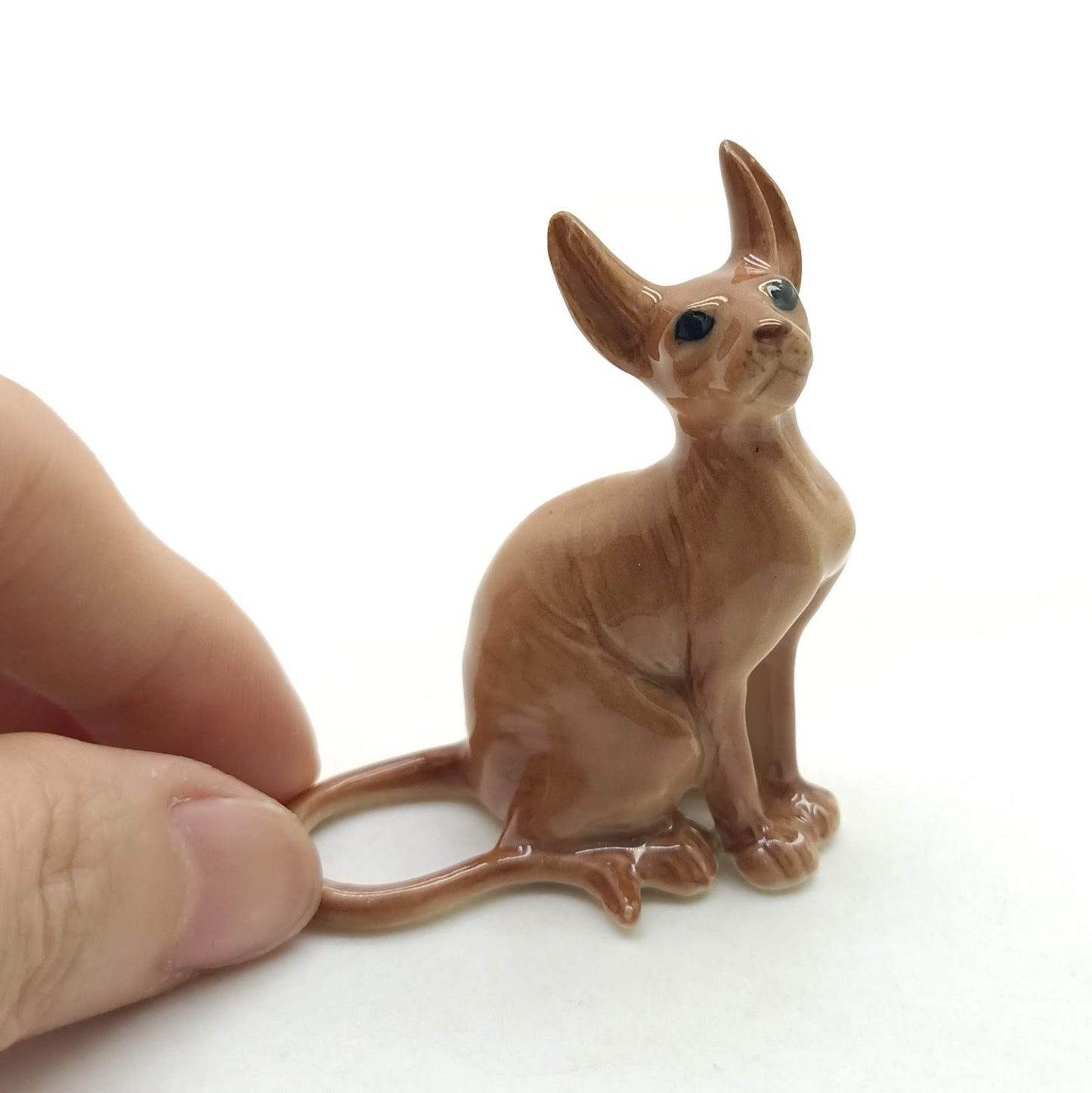 Sphynx Cats