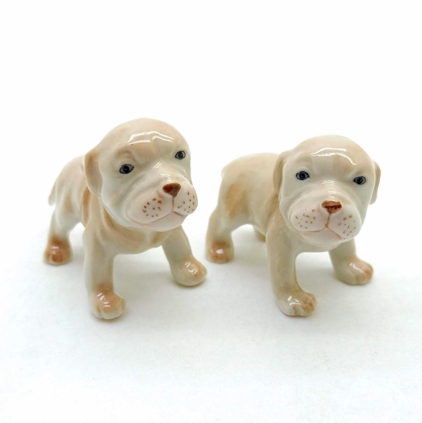 2 American Pit Bull Terrier Puppies