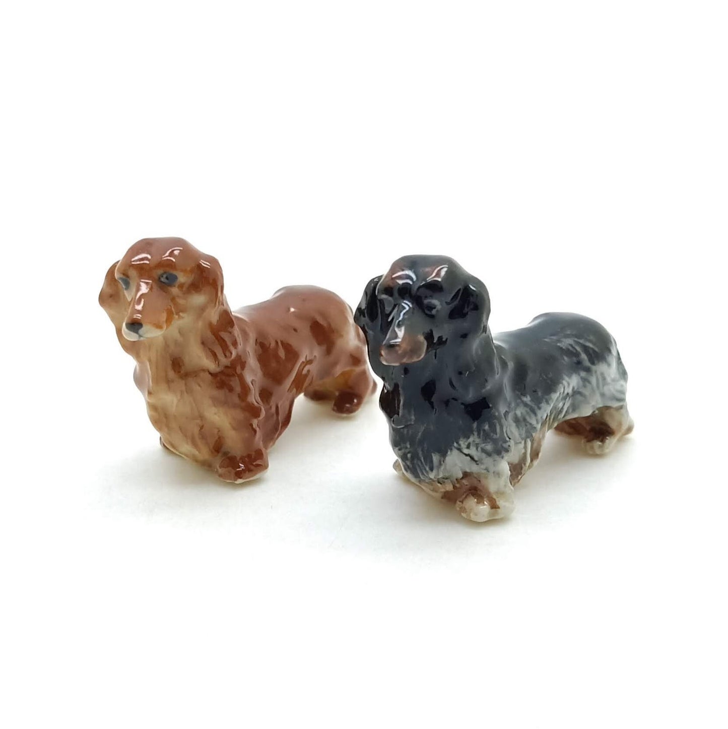 Long Haired Dachshund Dogs