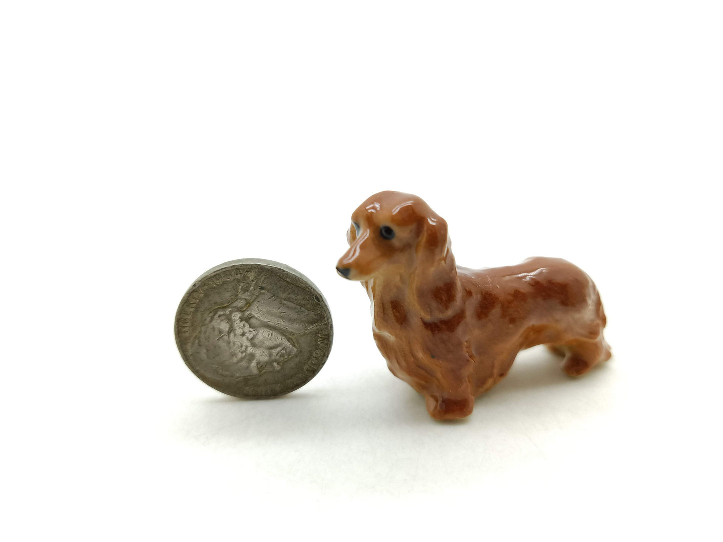 Long Haired Dachshund Dogs