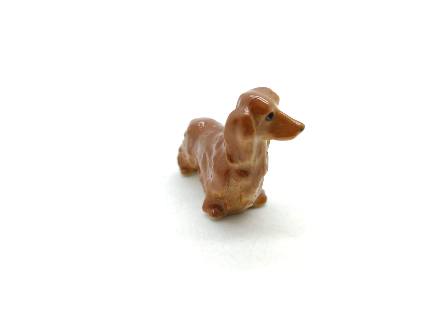 Long Haired Dachshund Dogs