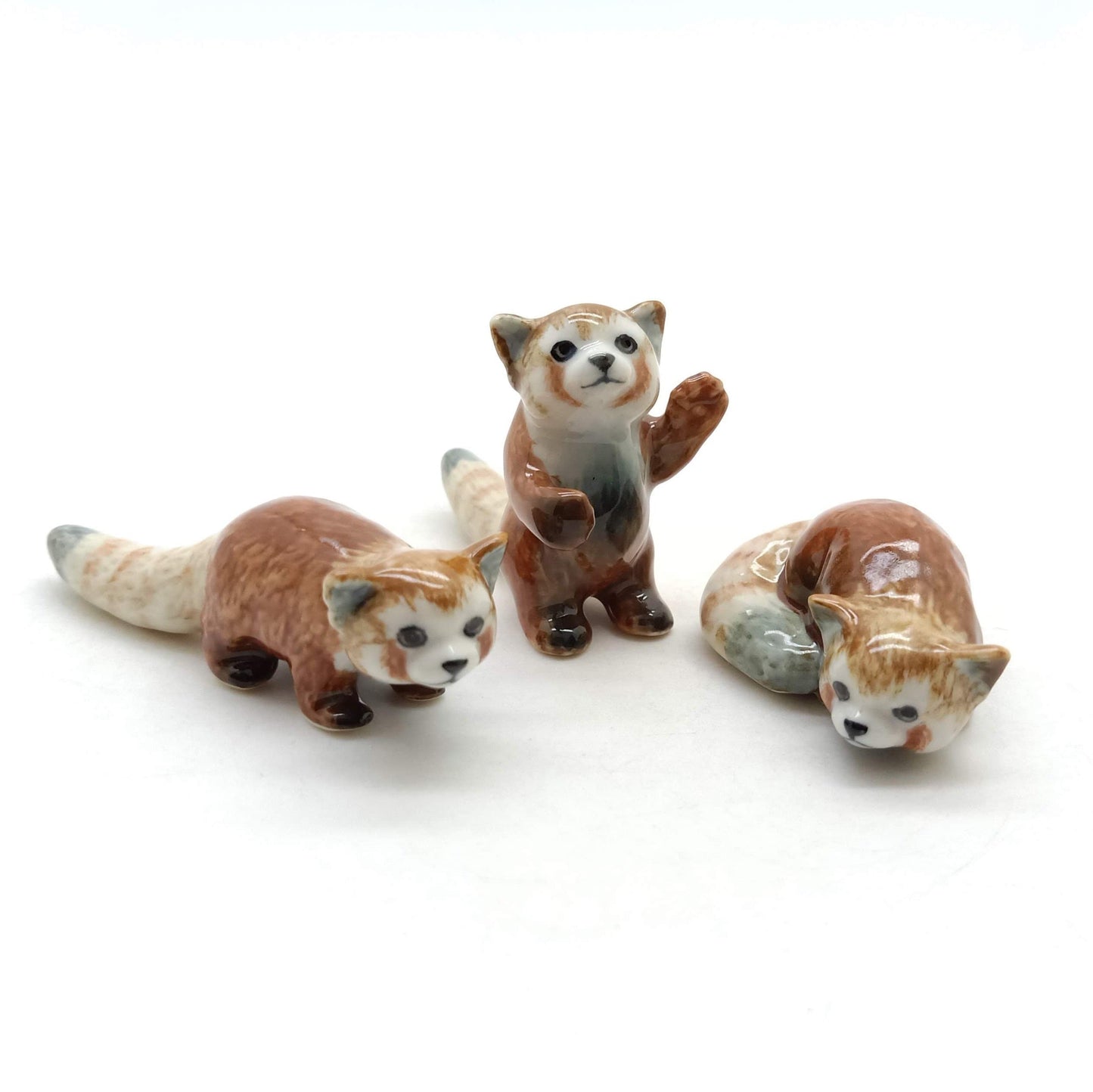 3 Red panda Bear Ailurus Fulgen