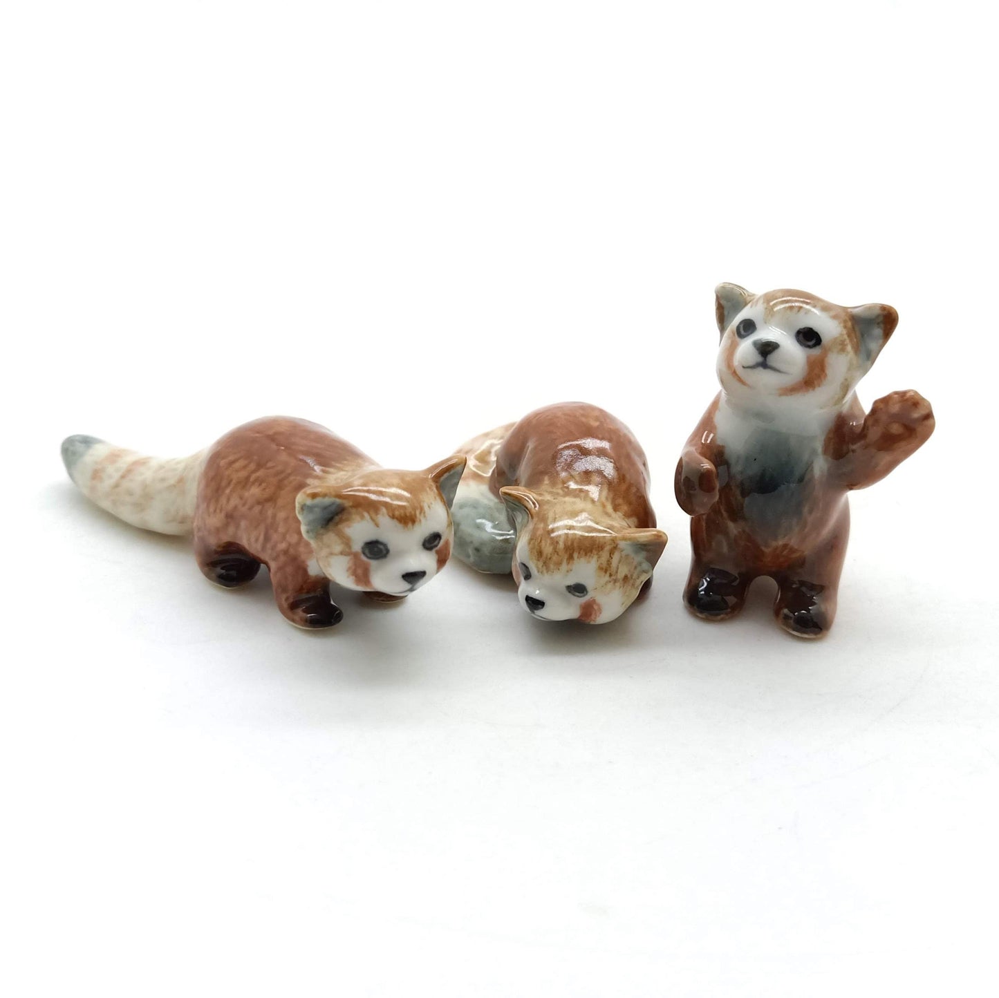 3 Red panda Bear Ailurus Fulgen