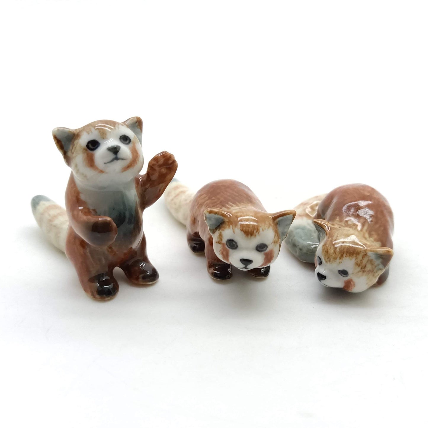 3 Red panda Bear Ailurus Fulgen