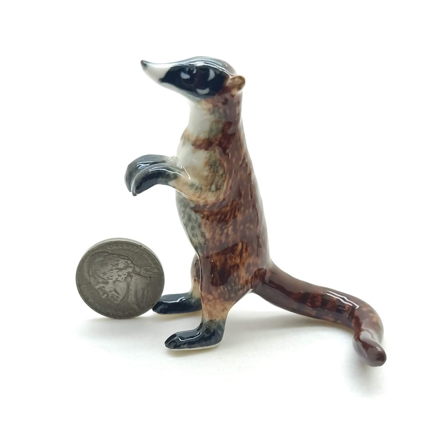 2 Coatimundi Red Raccoons
