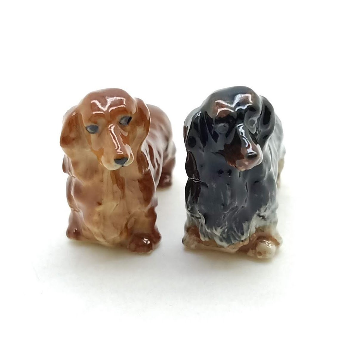 Long Haired Dachshund Dogs