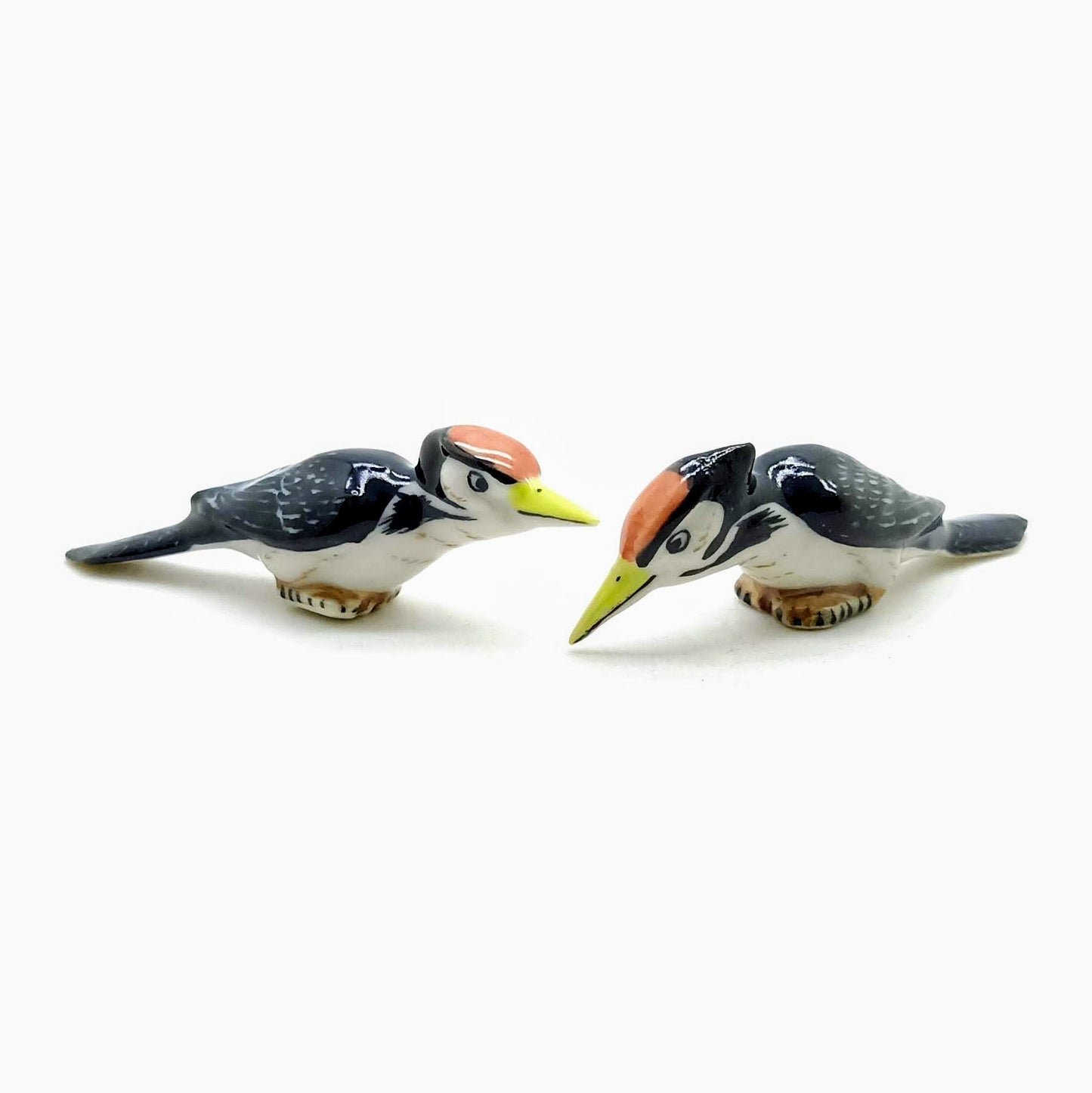 2 Woodpecker Birds