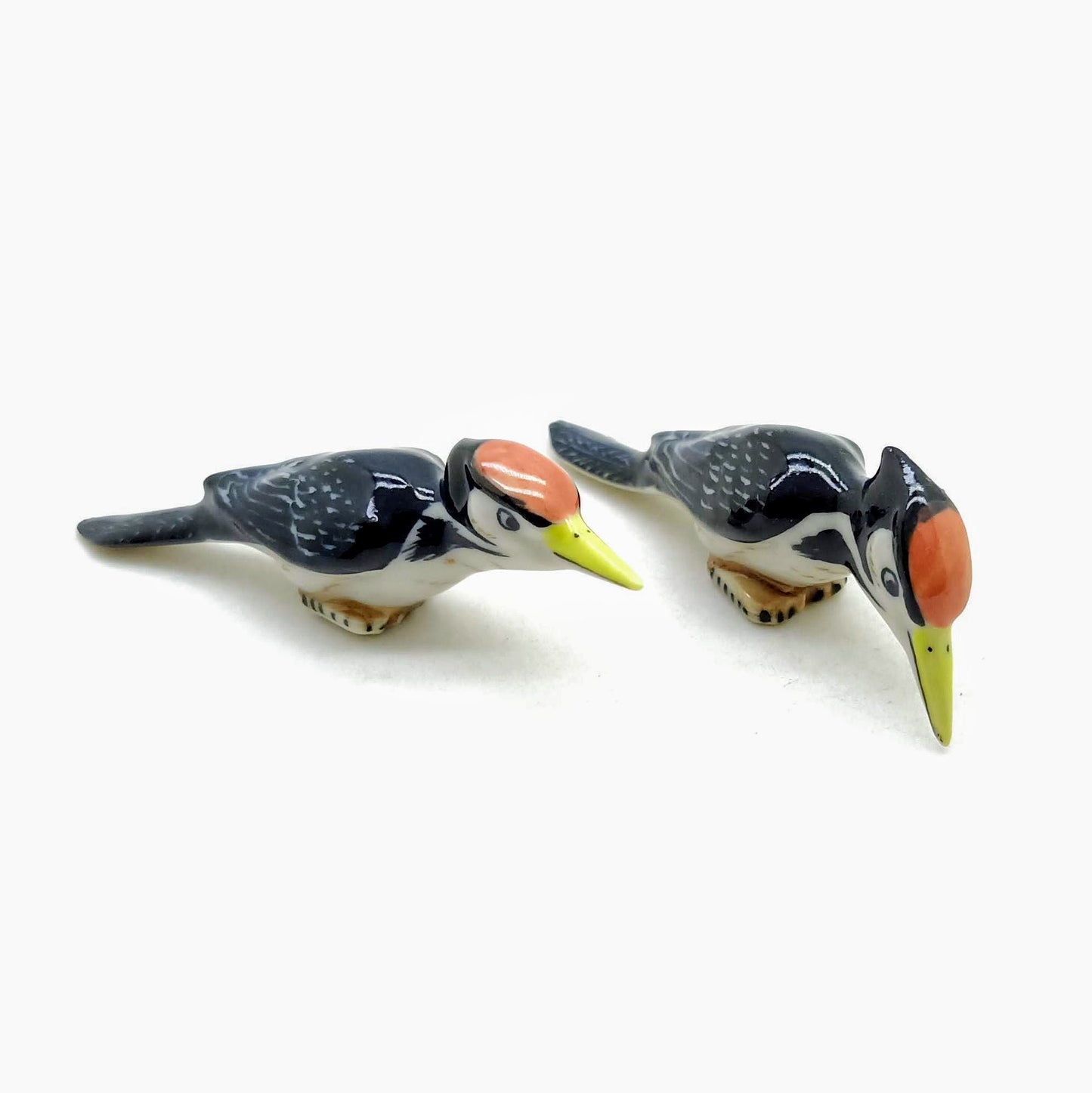2 Woodpecker Birds