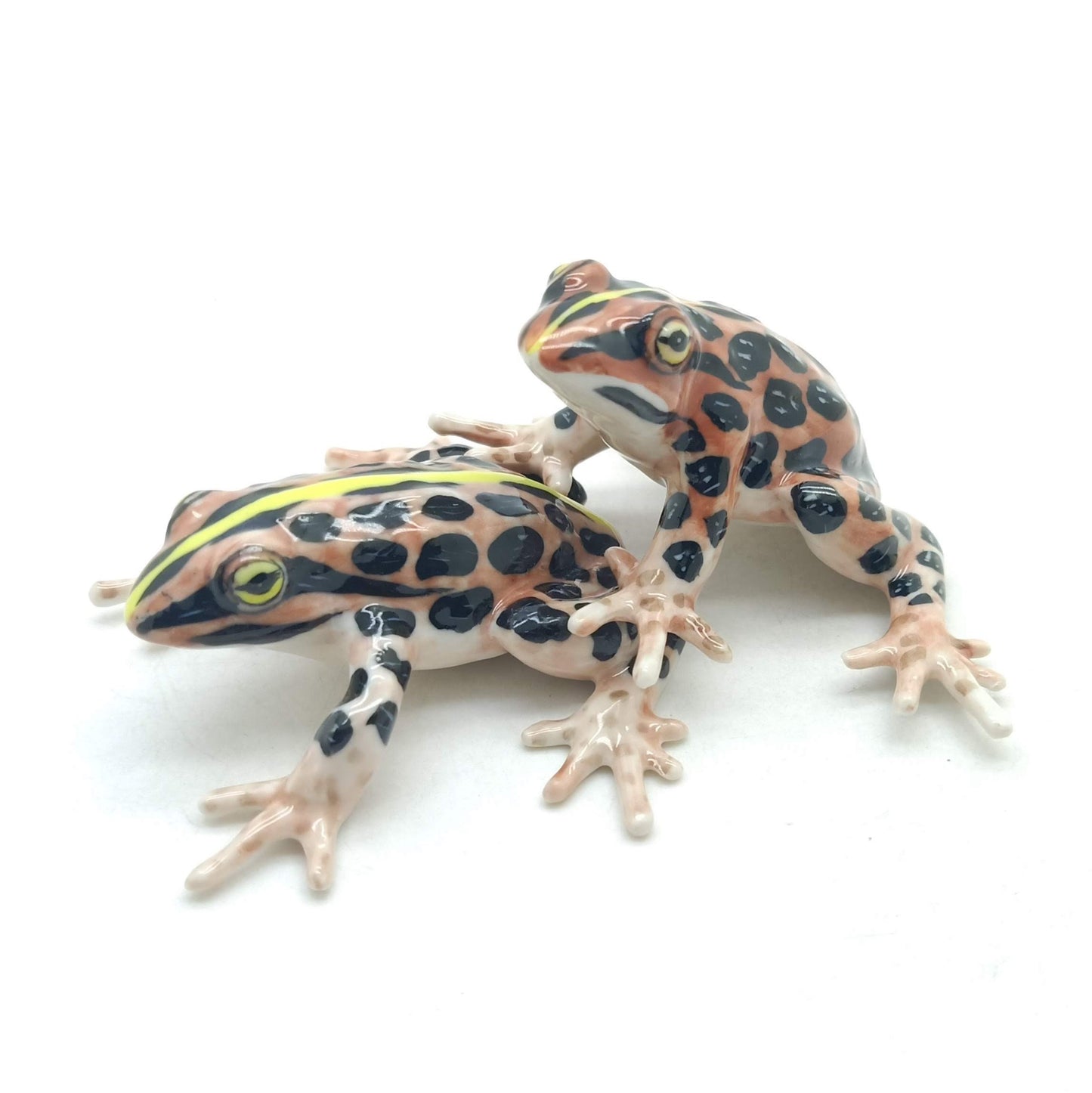 2 Brown Forest Mating Frogs