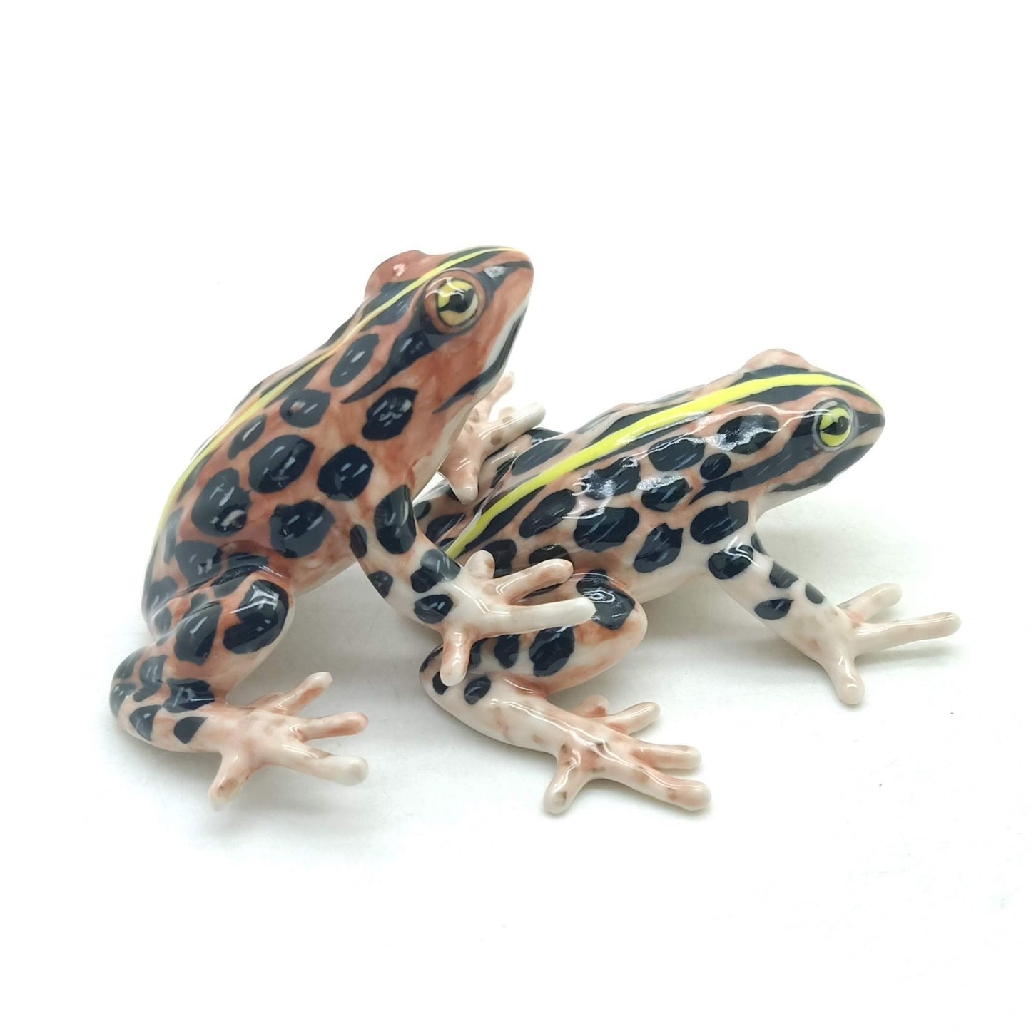 2 Brown Forest Mating Frogs
