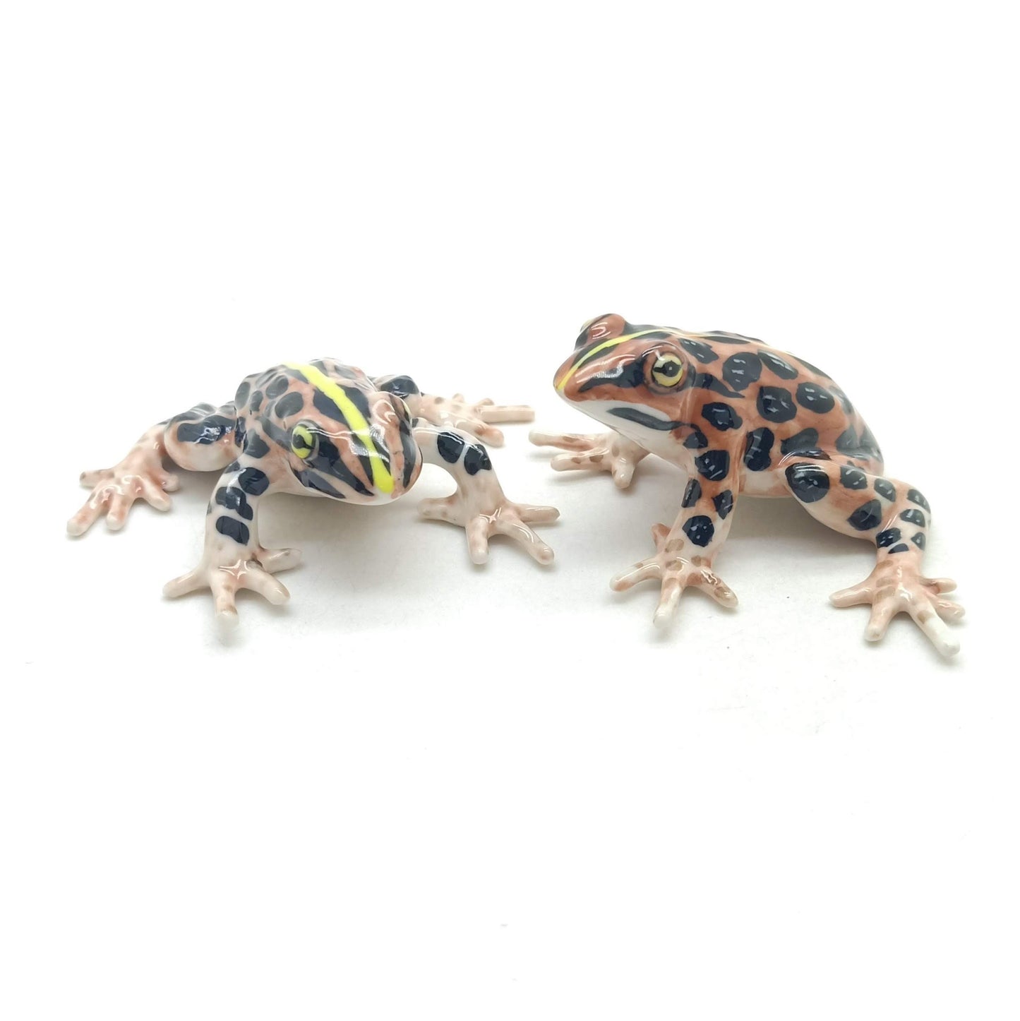 2 Brown Forest Mating Frogs