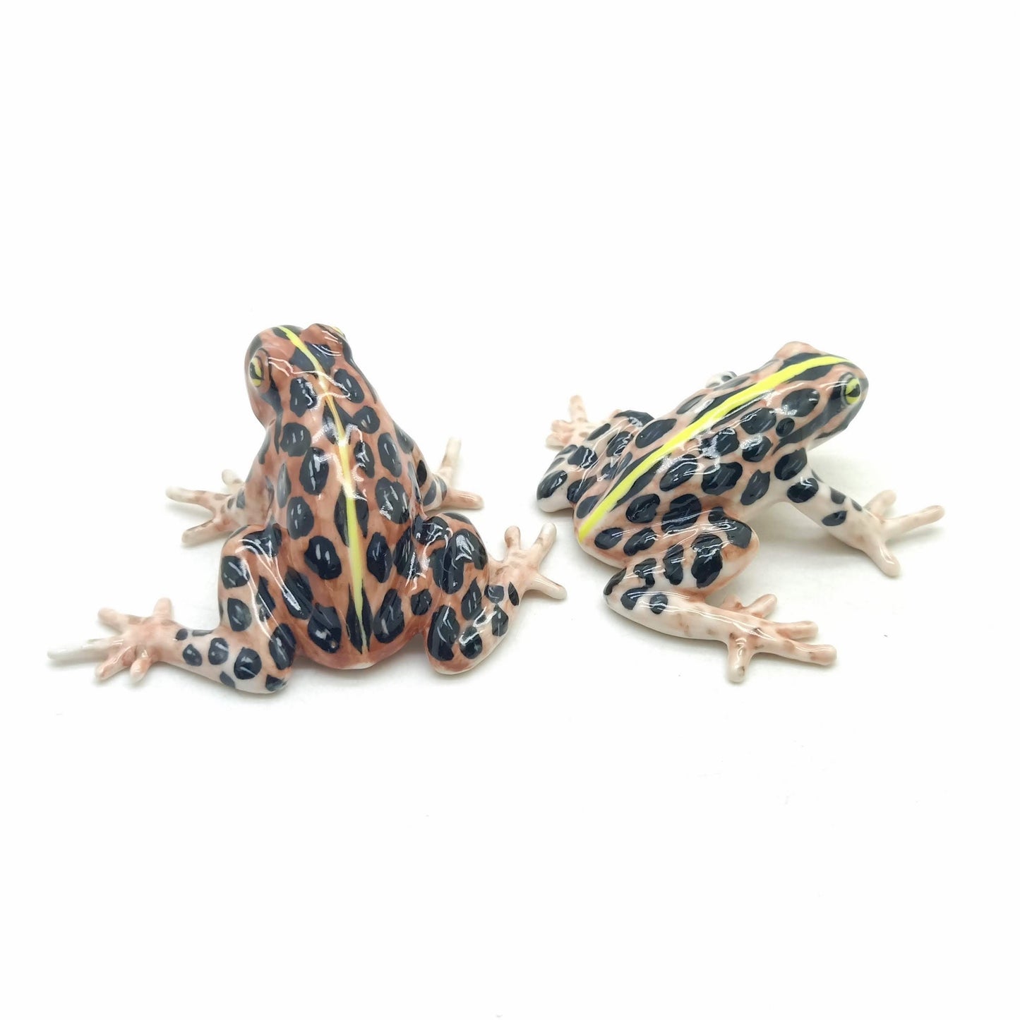 2 Brown Forest Mating Frogs