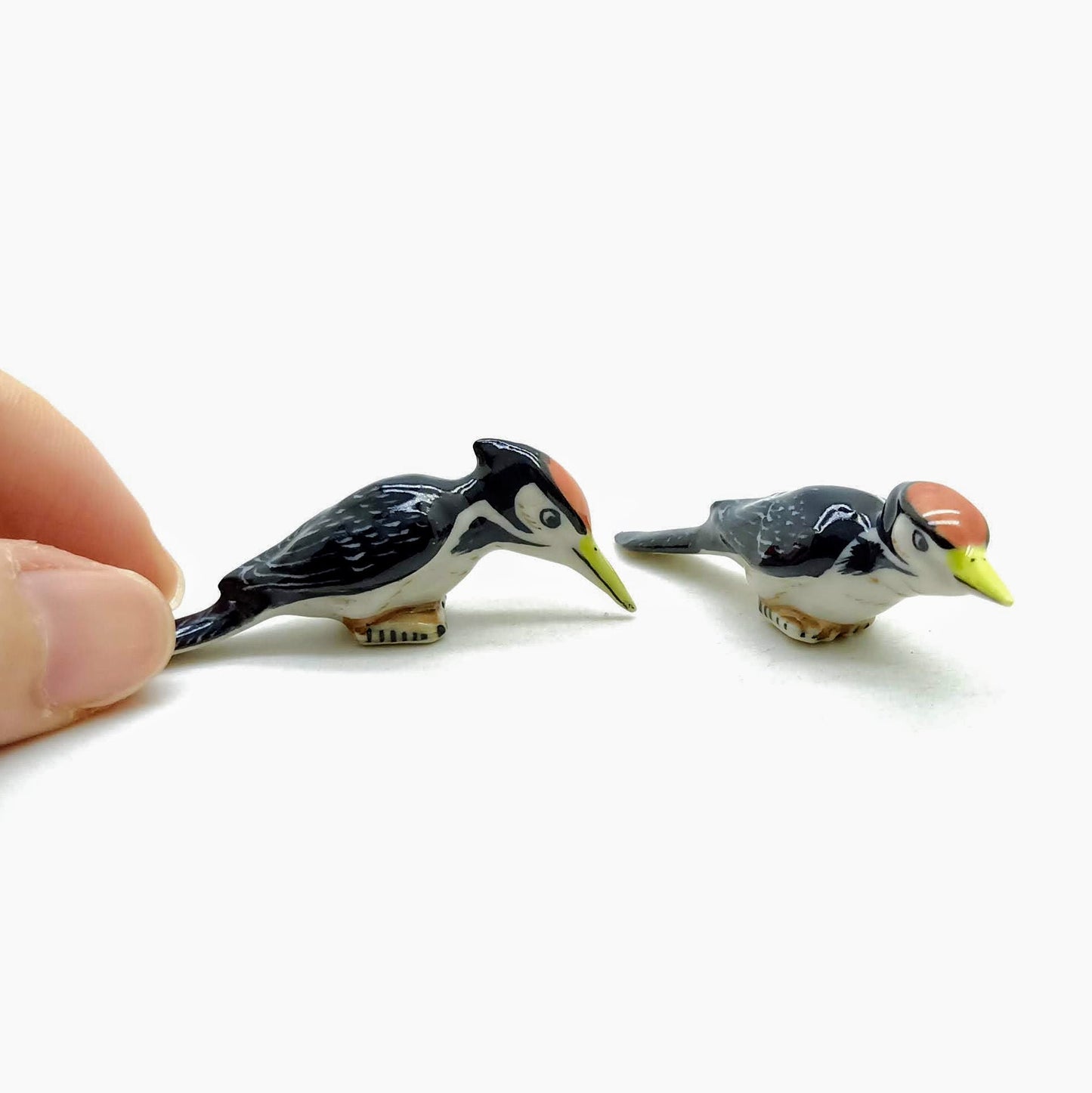 2 Woodpecker Birds