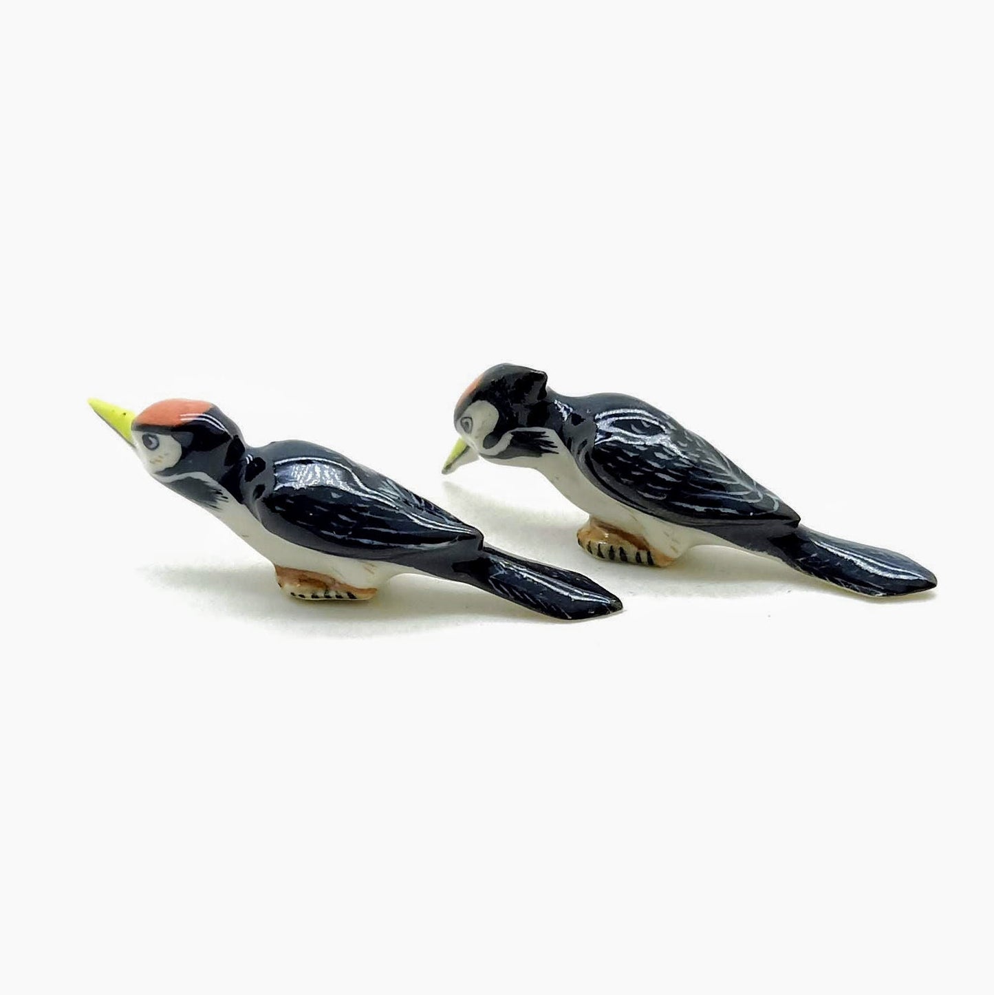 2 Woodpecker Birds