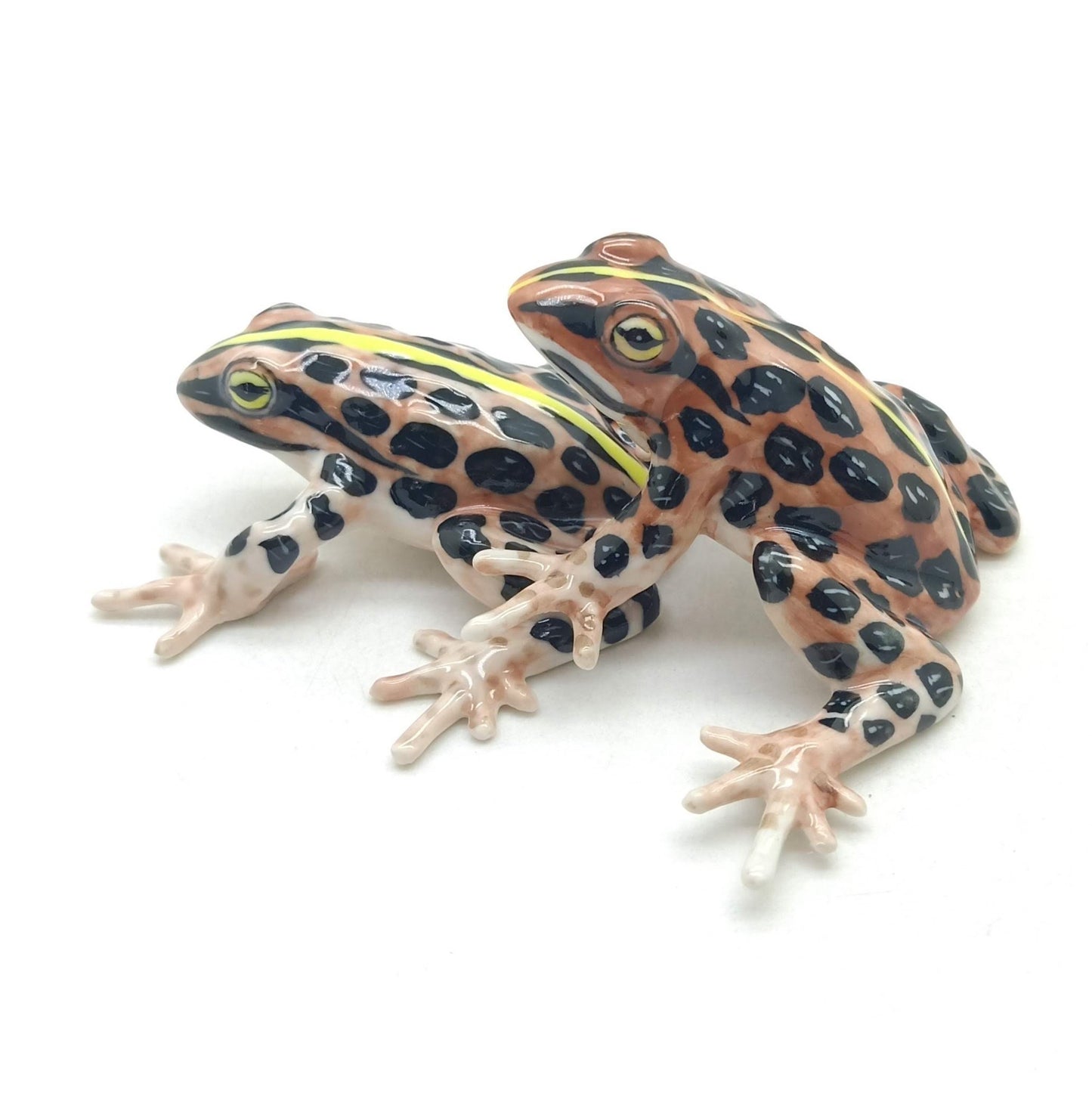 2 Brown Forest Mating Frogs