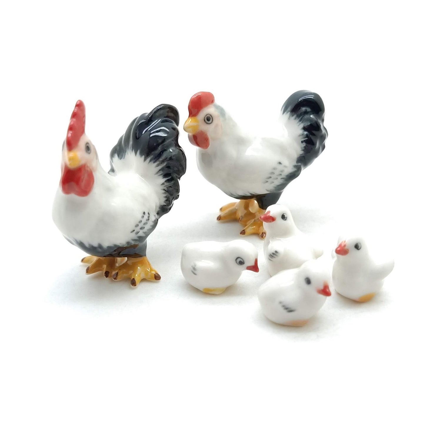 White Cock Rooster
