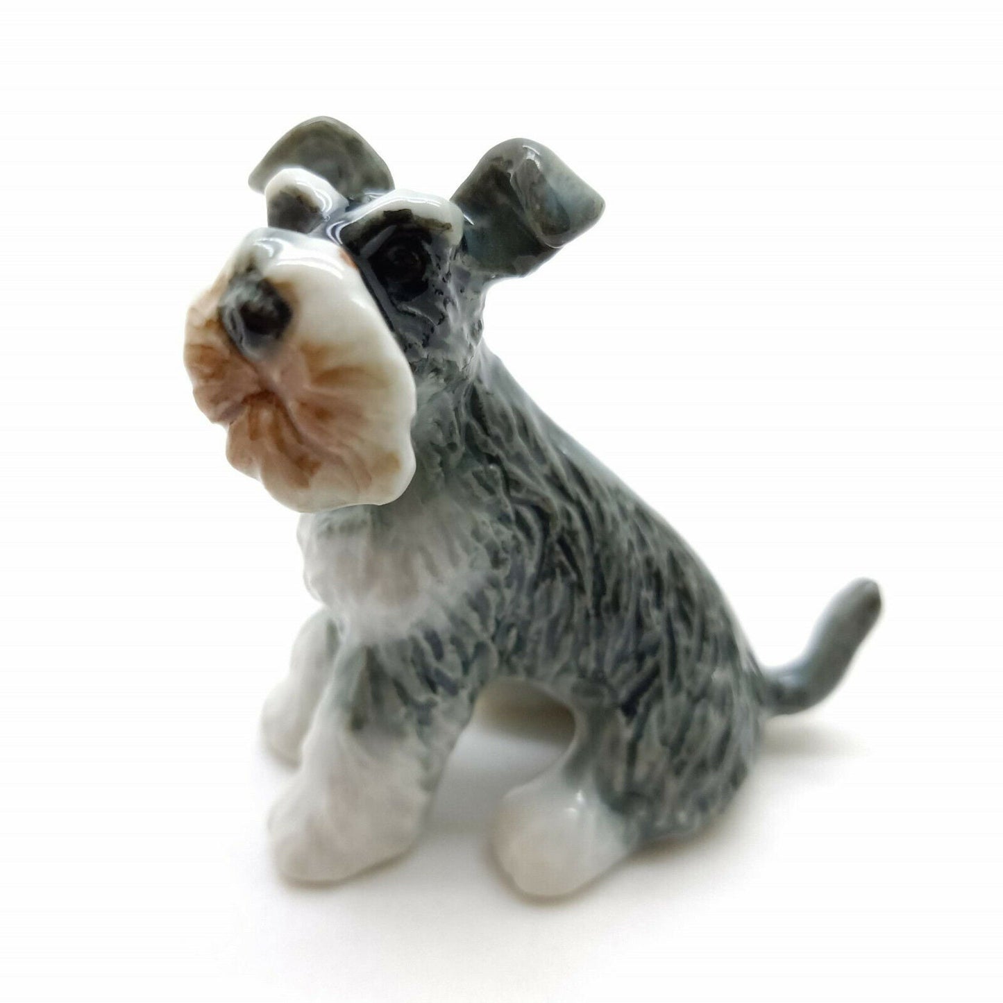 Schnauzer Family