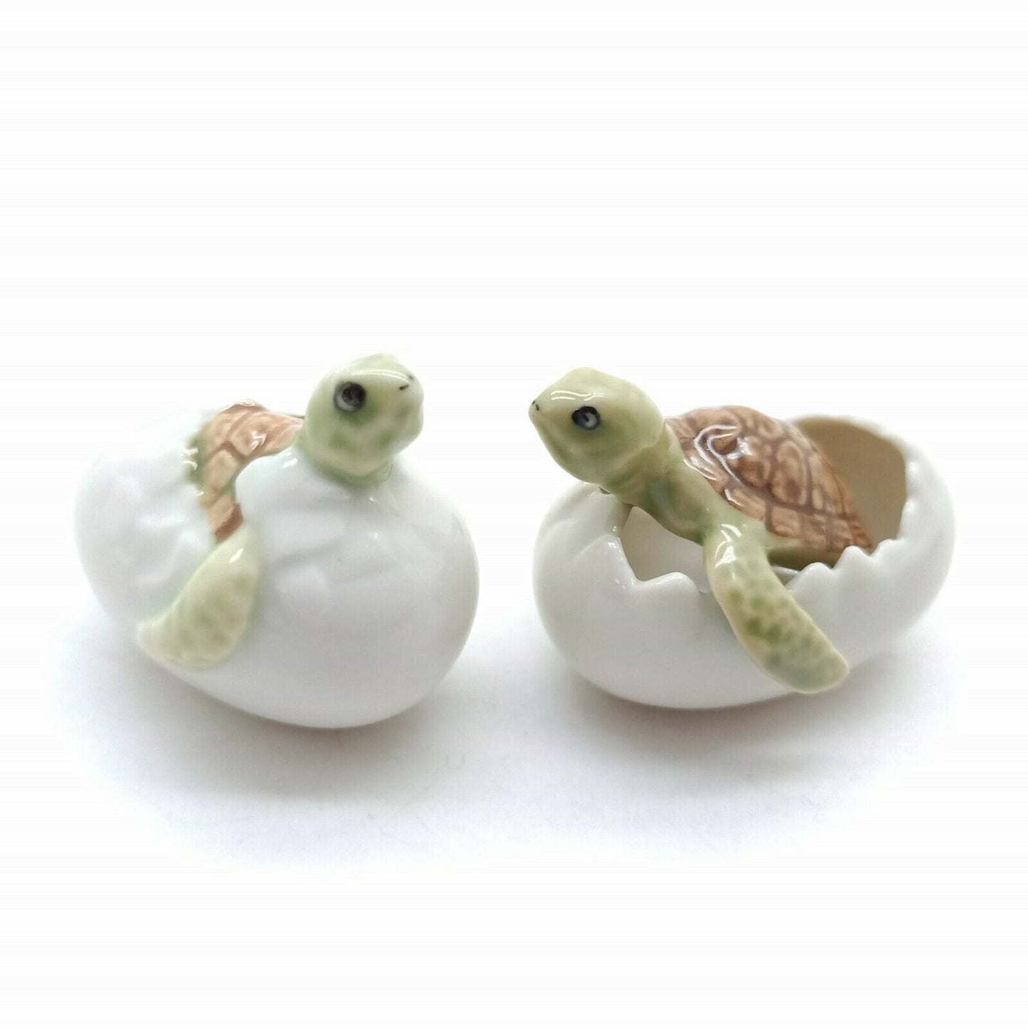 4 Sea Baby Turtles