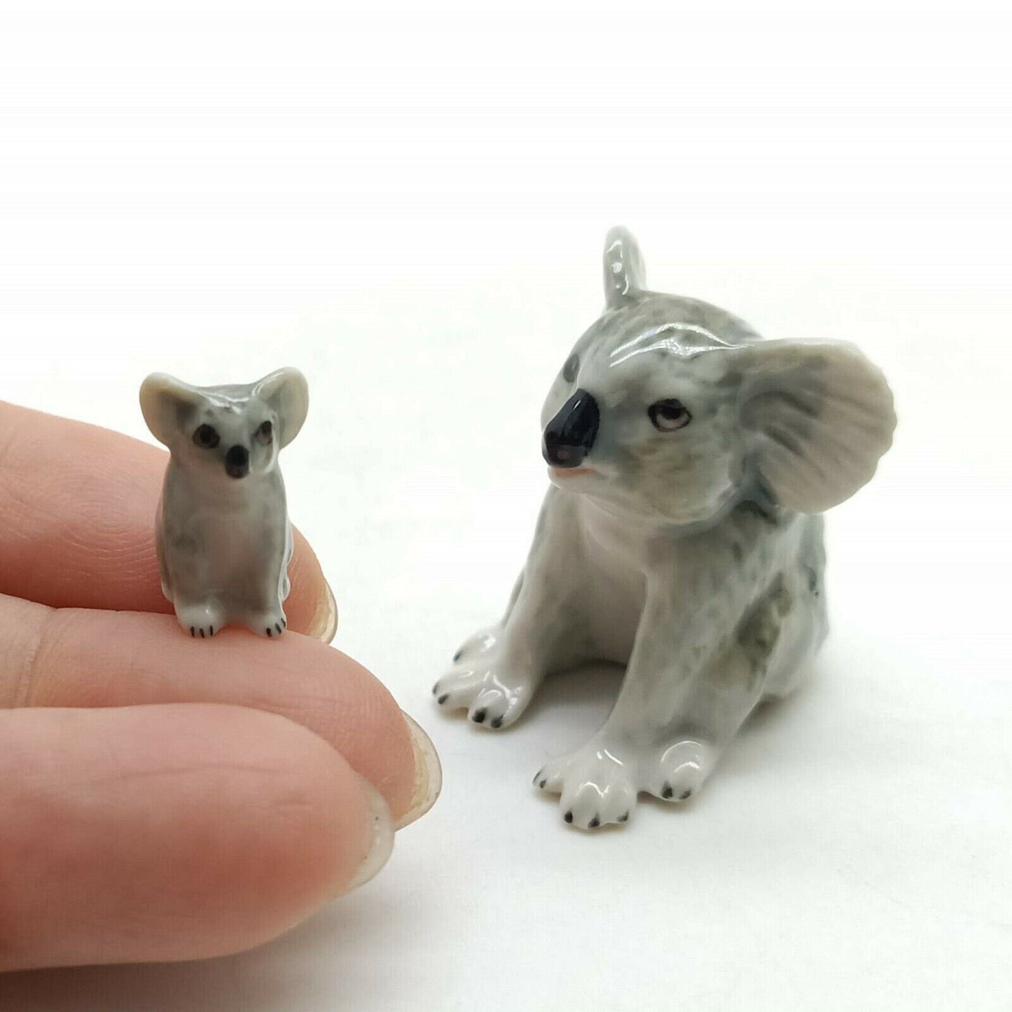 2 Koala Bears