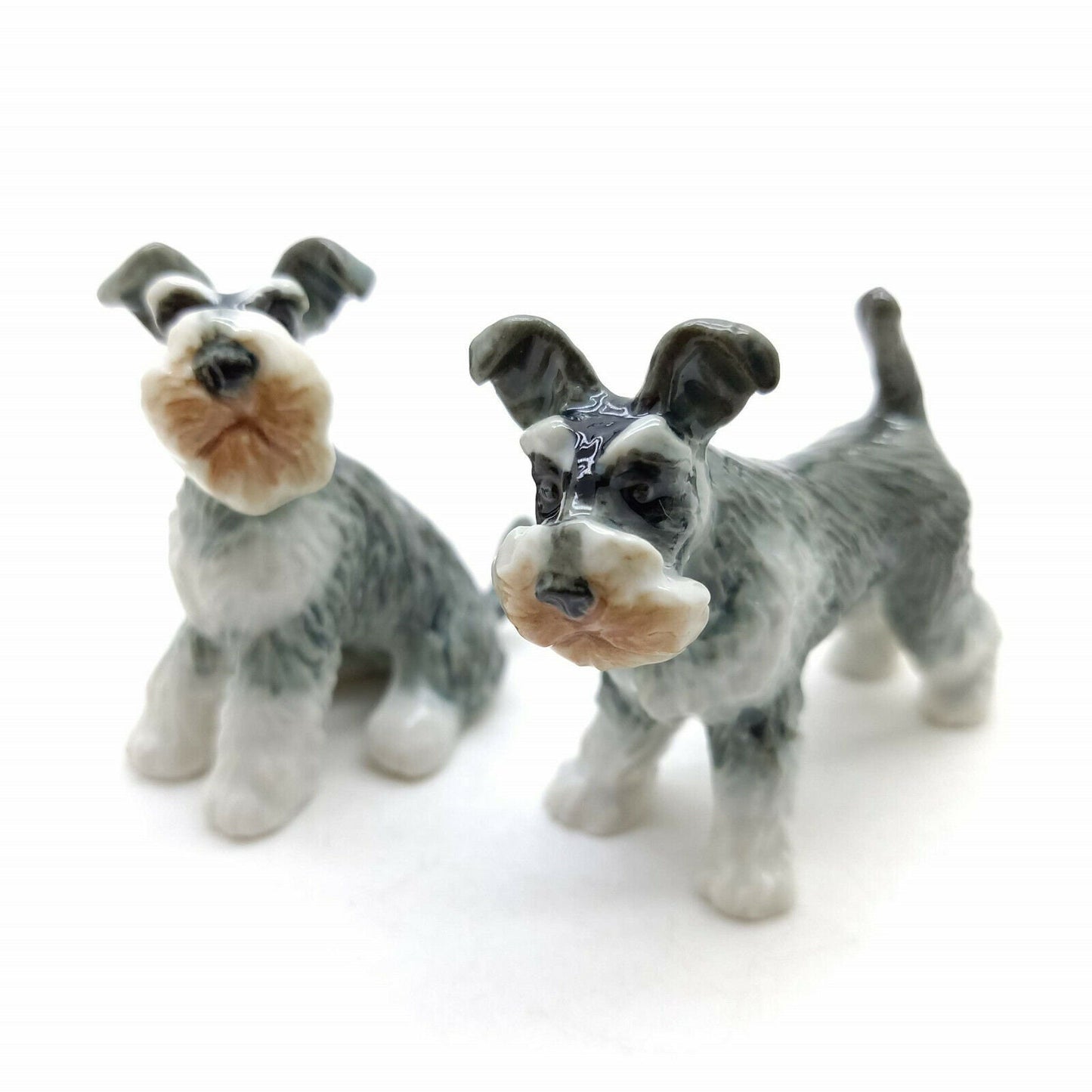 Schnauzer Family