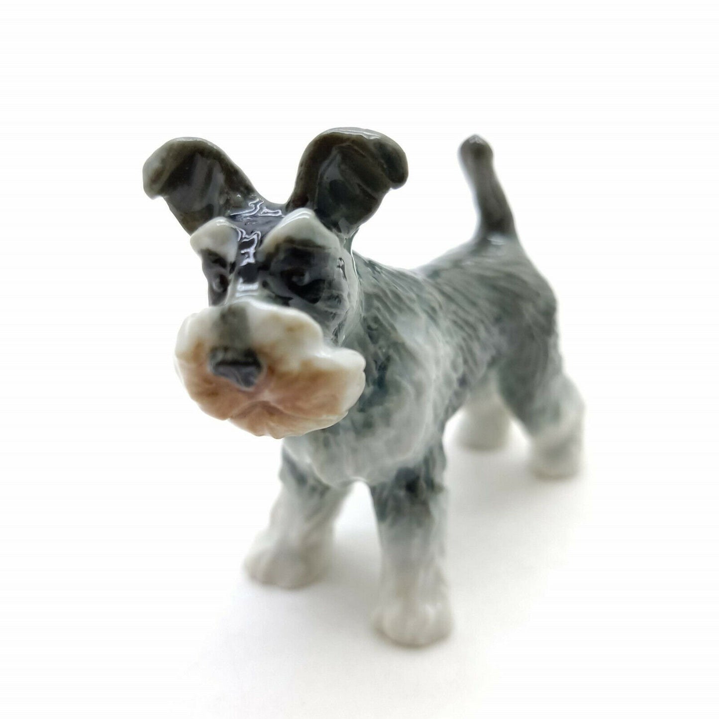 Schnauzer Family