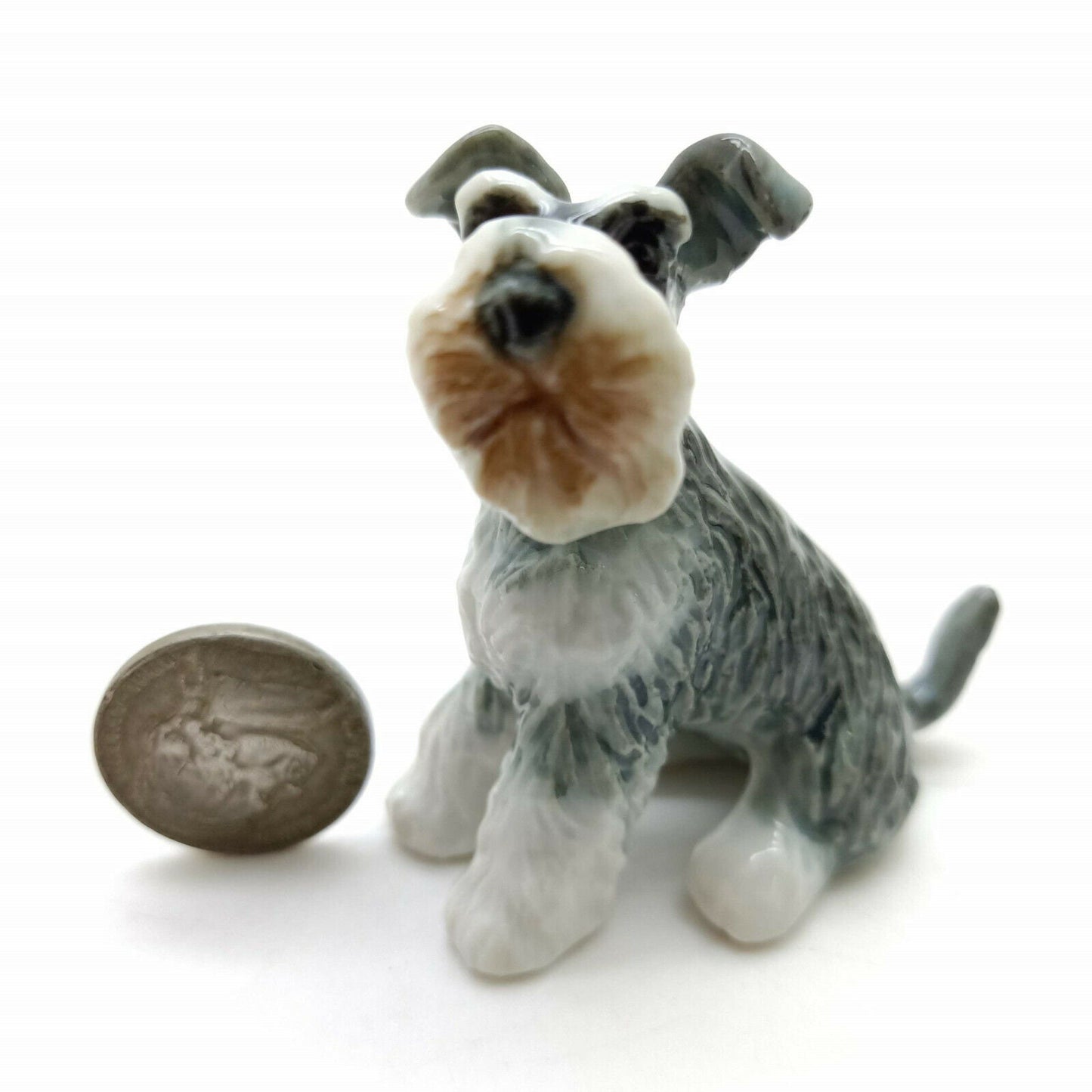 Schnauzer Family