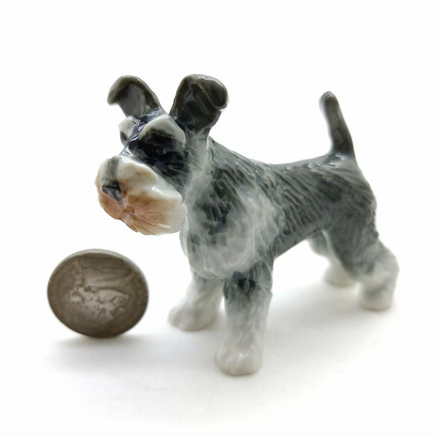 Schnauzer Family