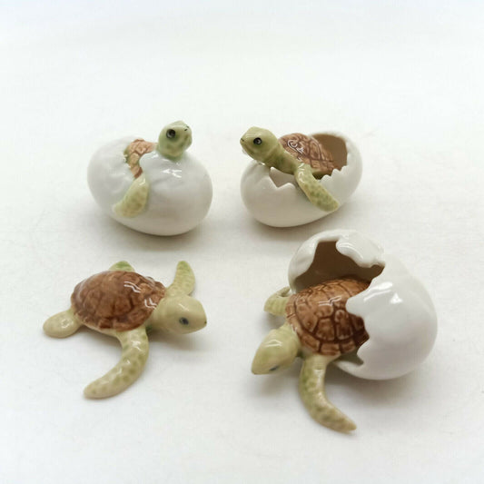 4 Sea Baby Turtles