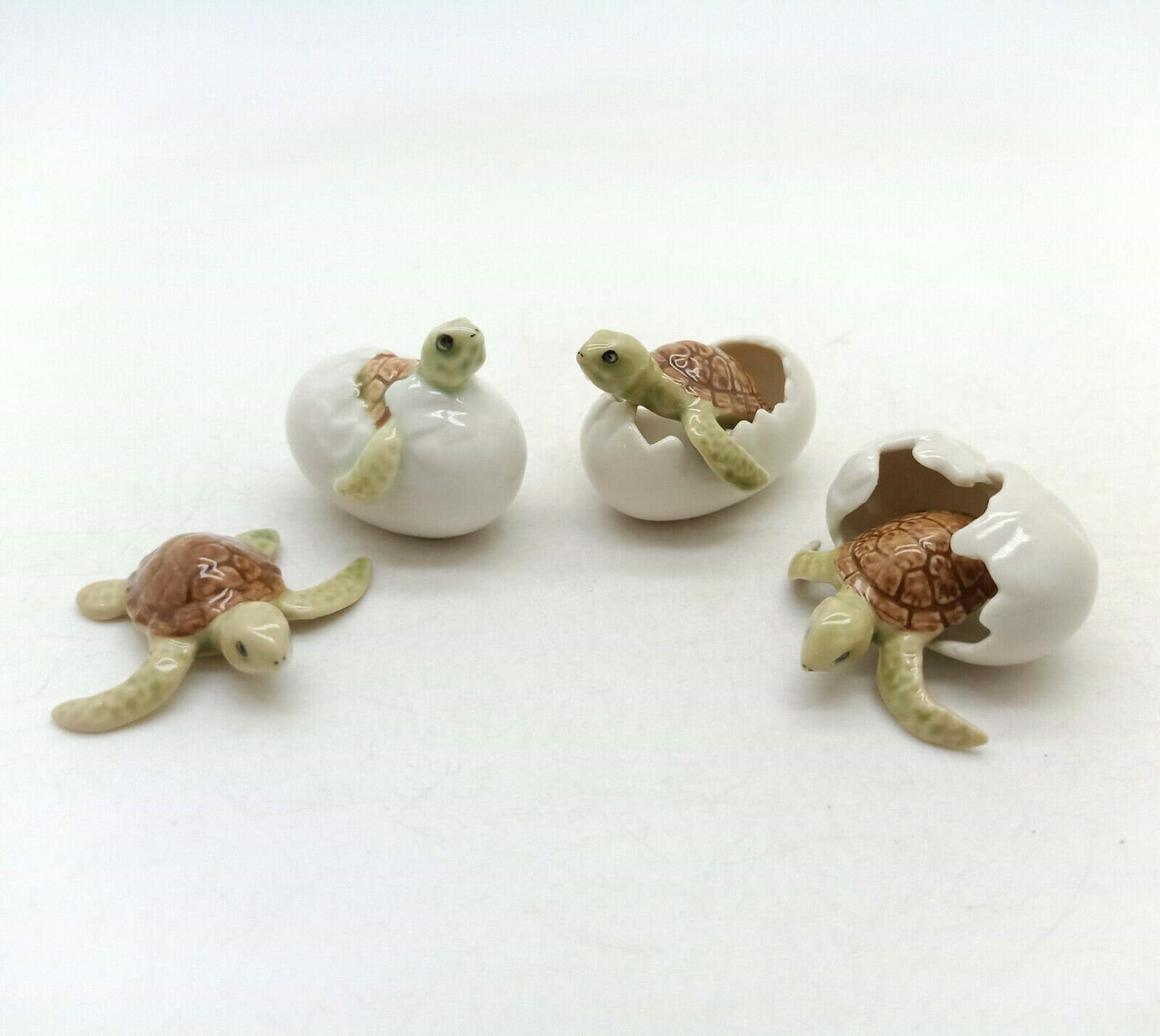 4 Sea Baby Turtles