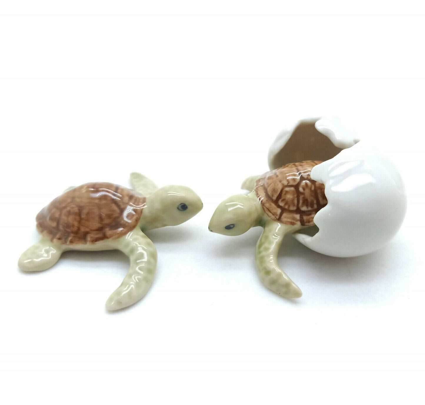 4 Sea Baby Turtles